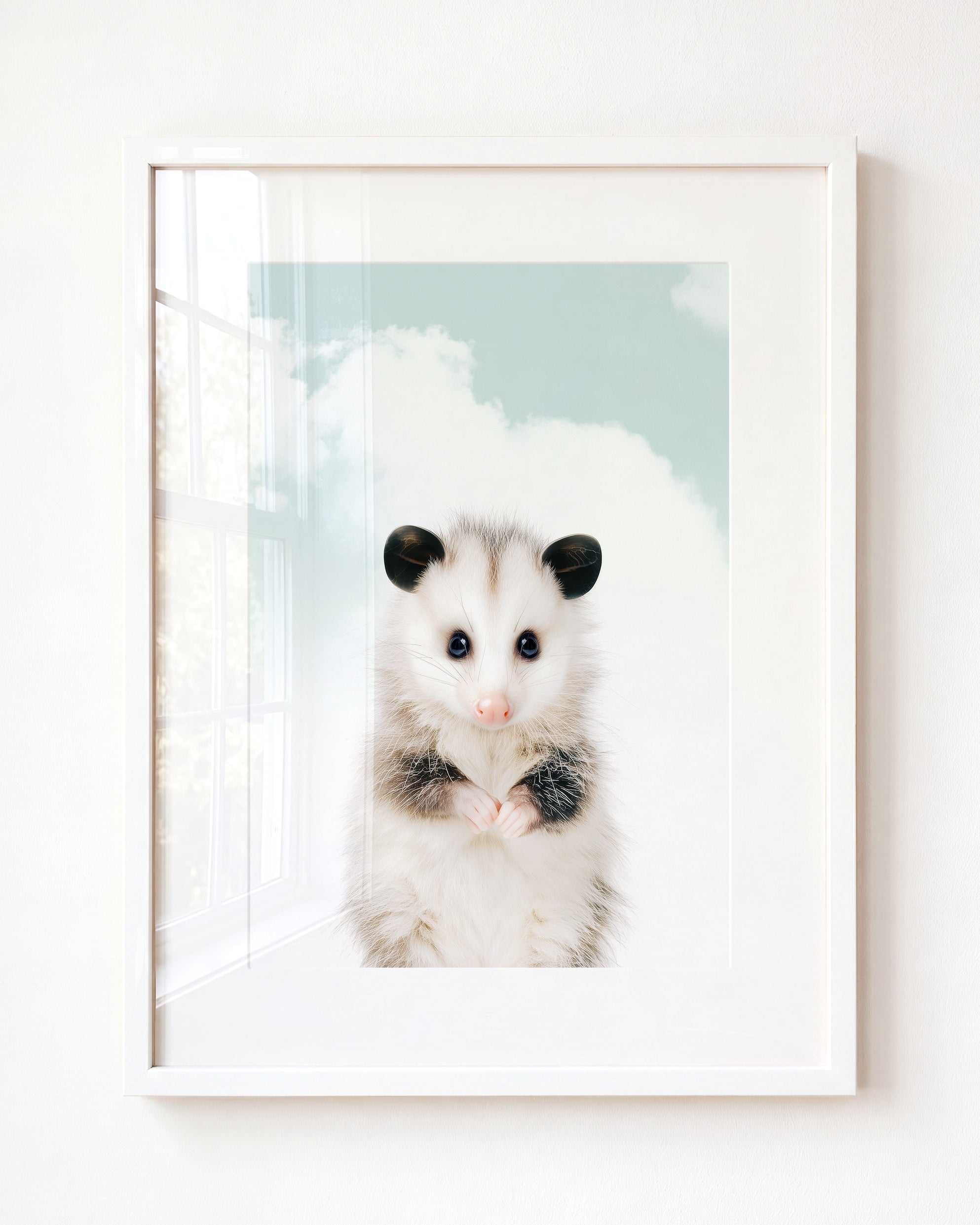 Baby Opossum