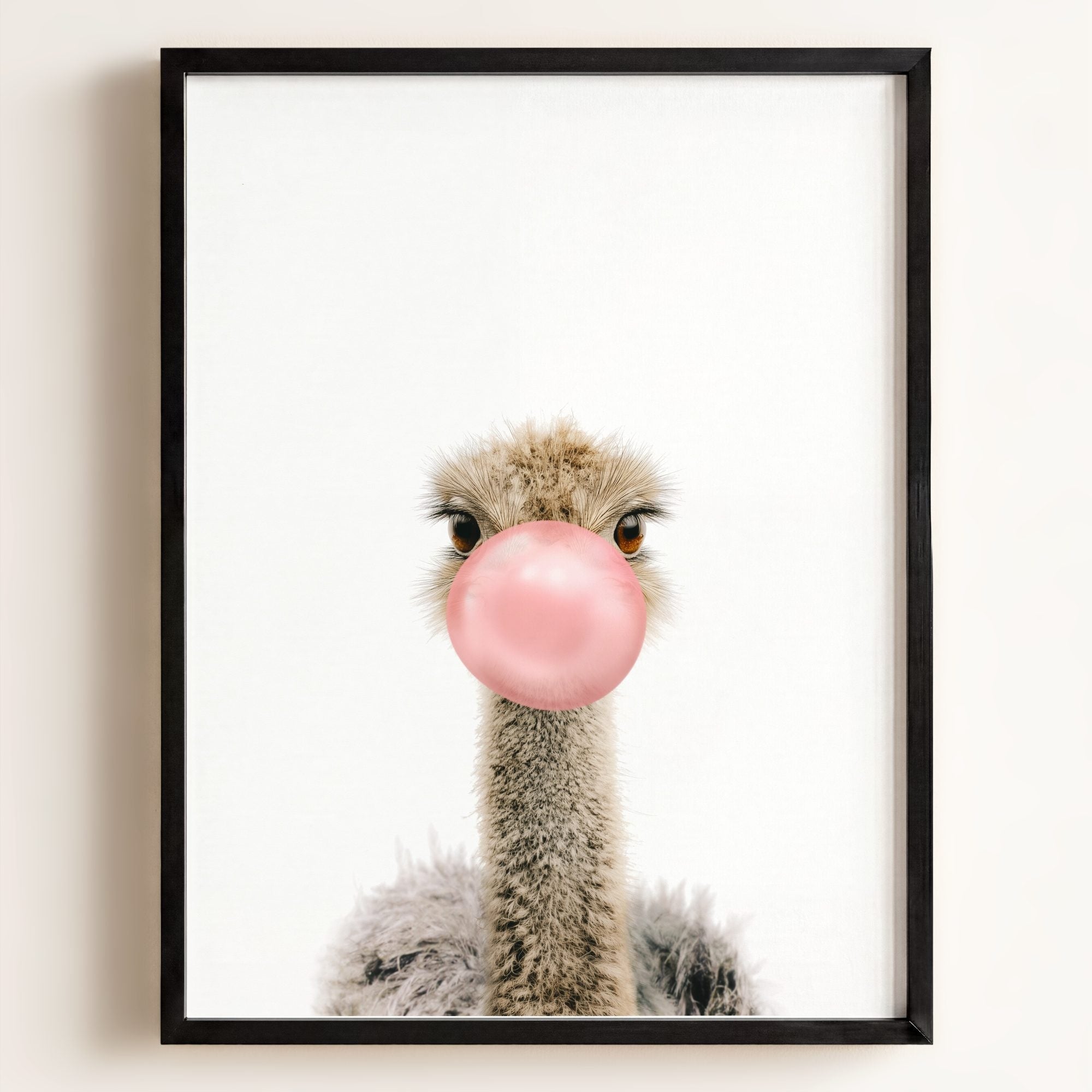 Baby Ostrich