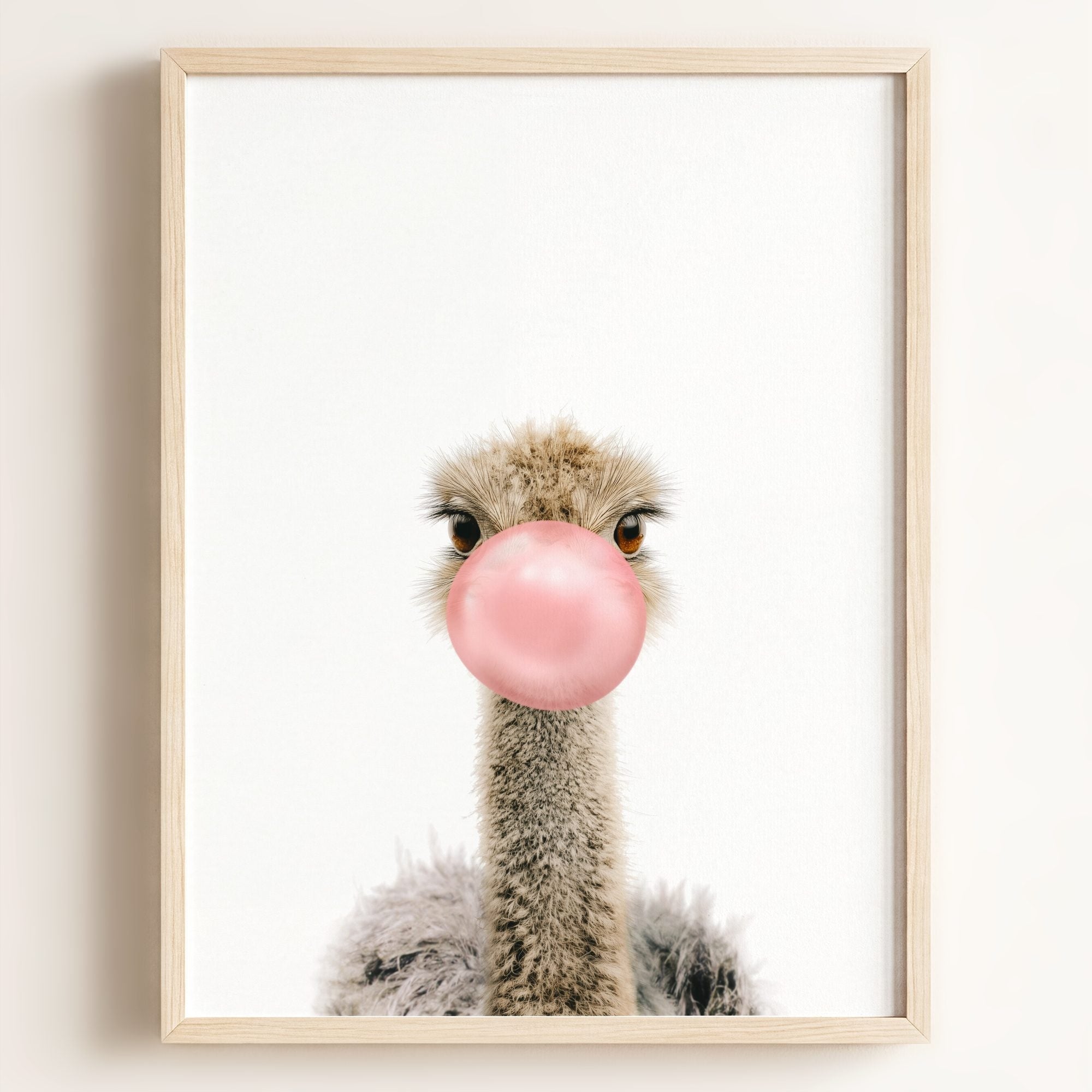 Baby Ostrich