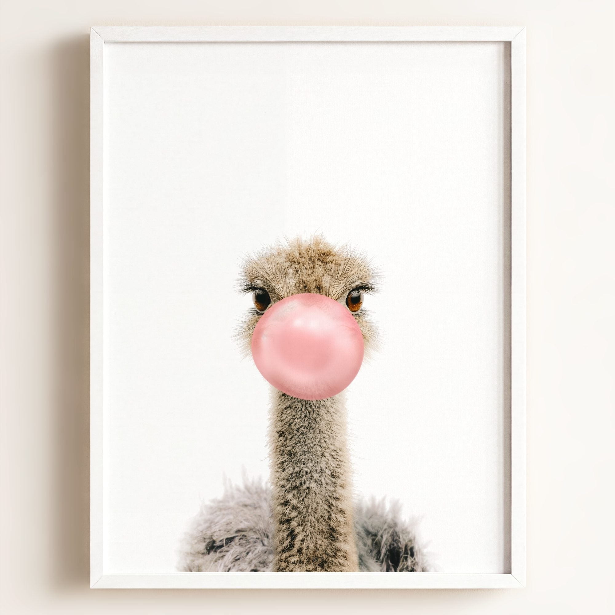 Baby Ostrich