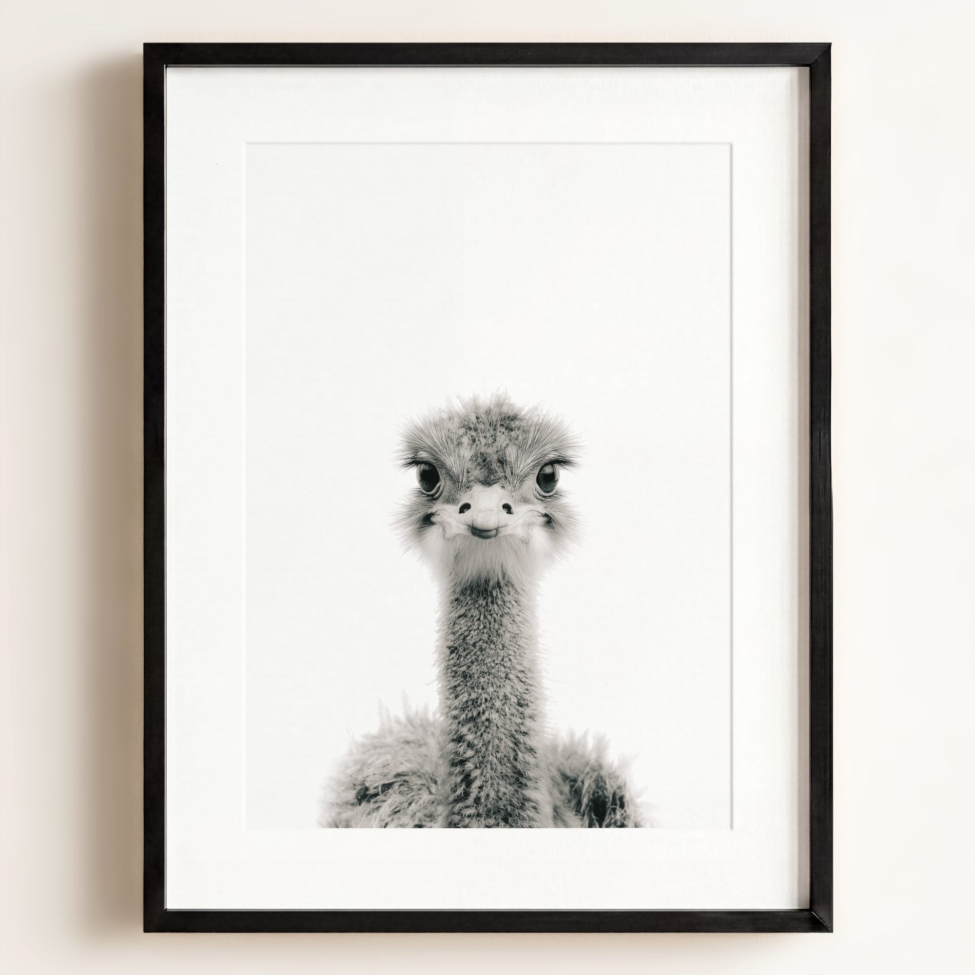 Baby Ostrich