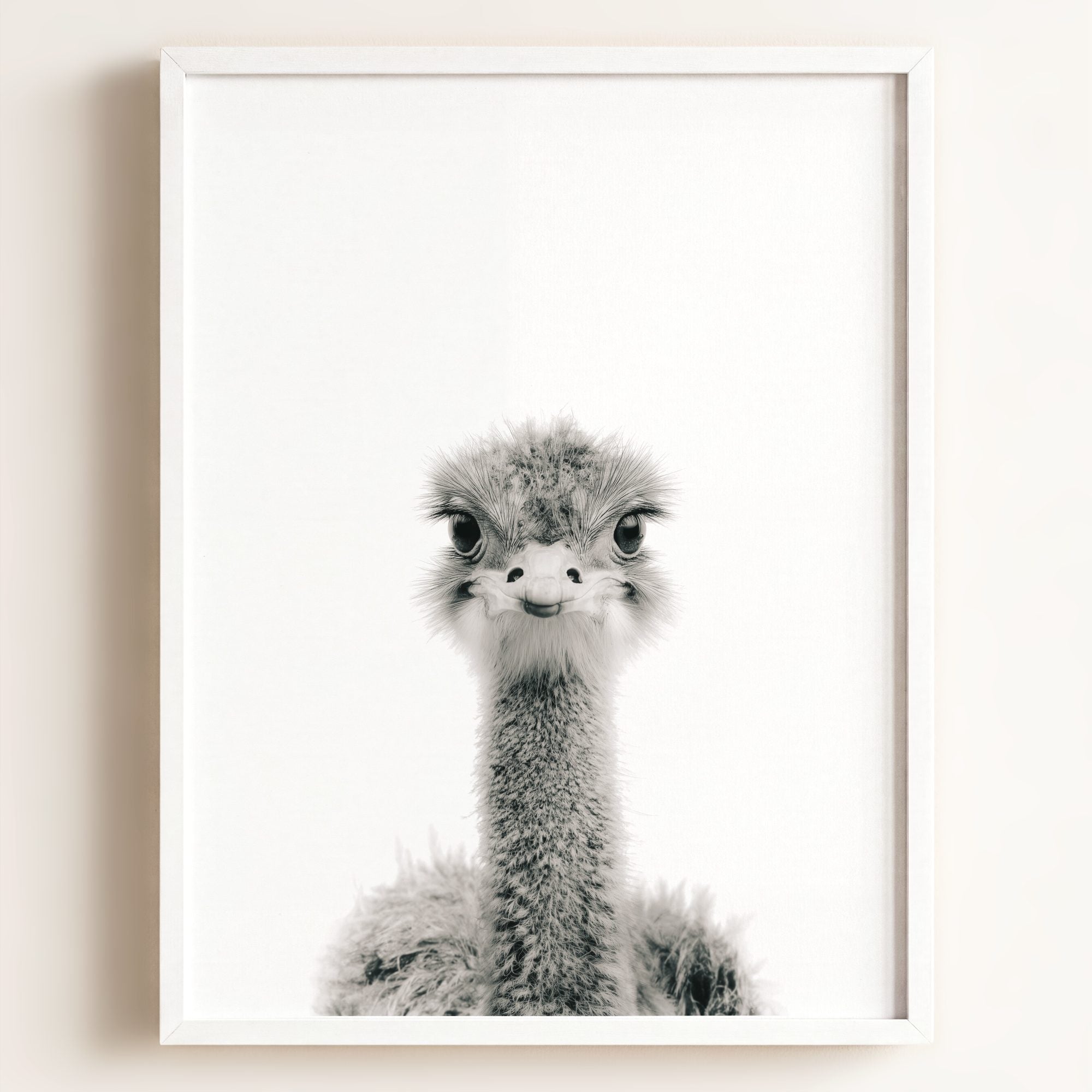 Baby Ostrich