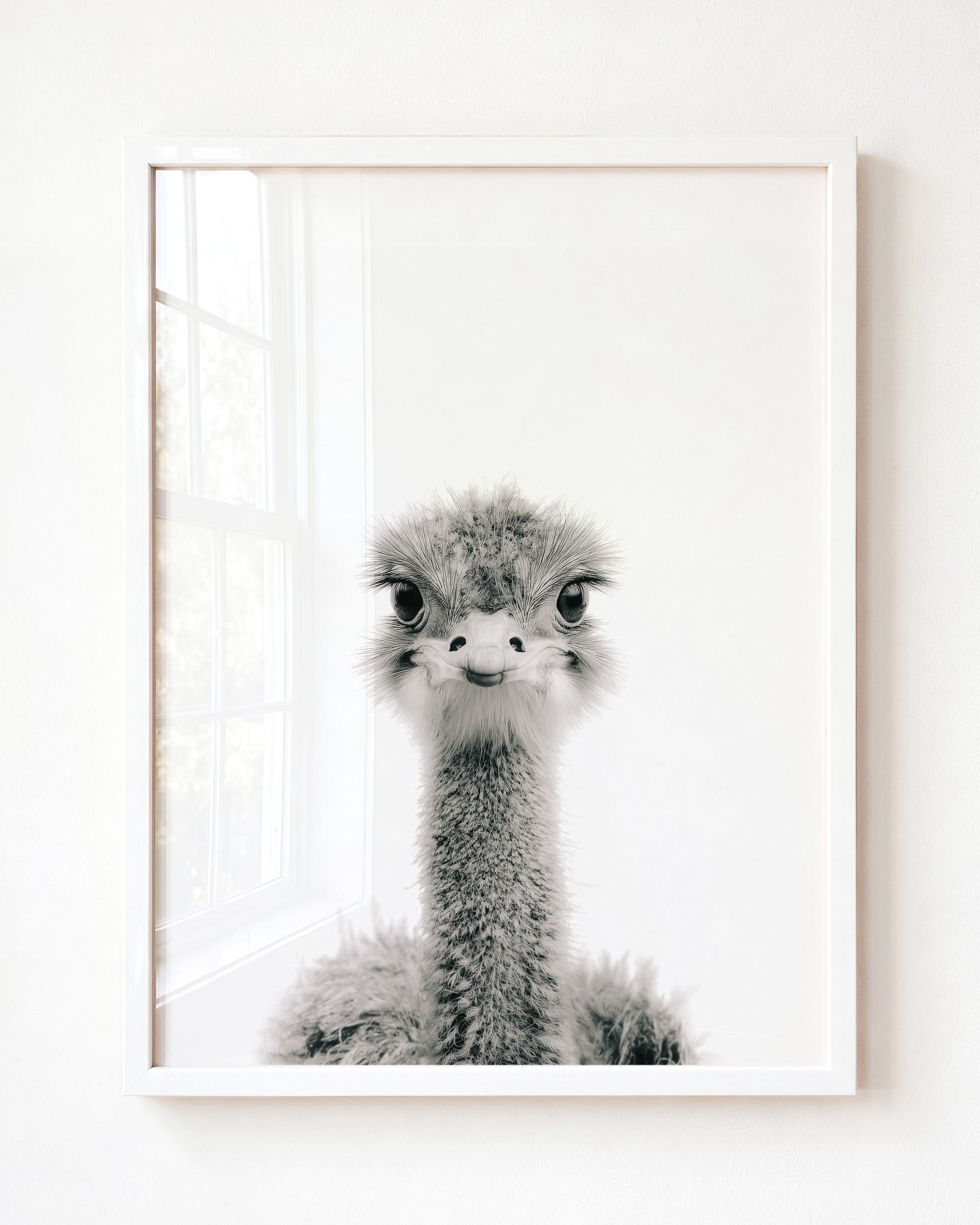 Baby Ostrich