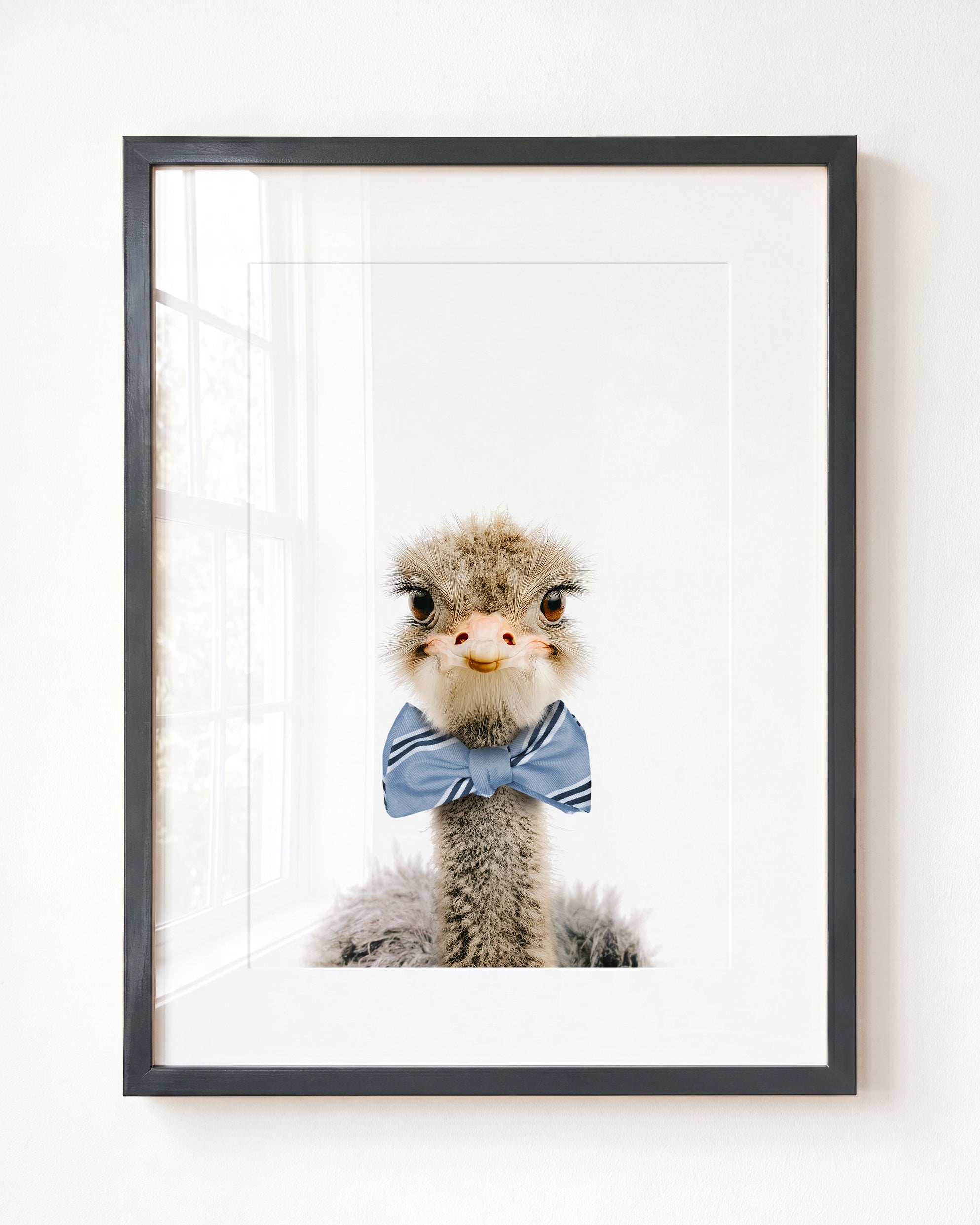 Baby Ostrich