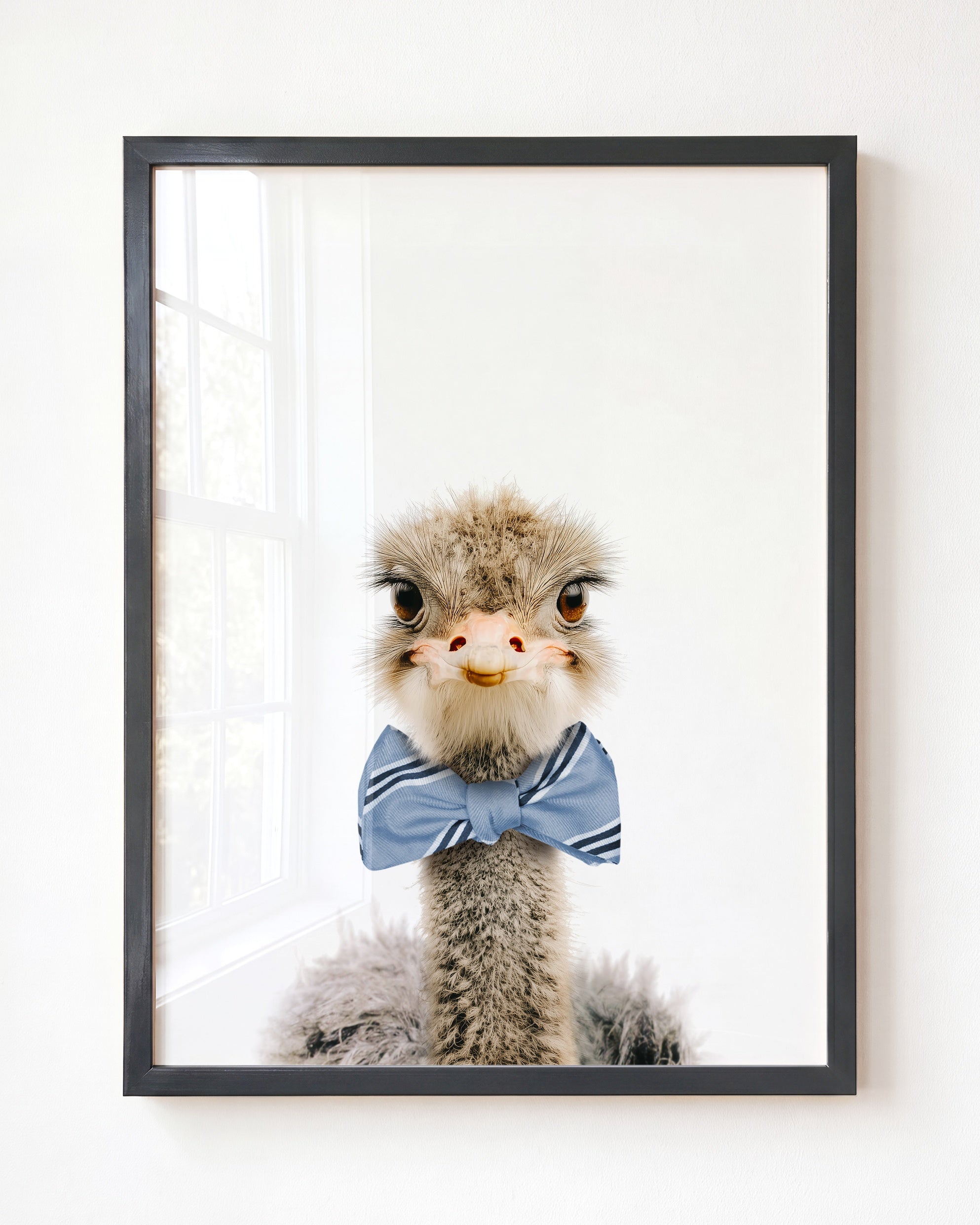 Baby Ostrich