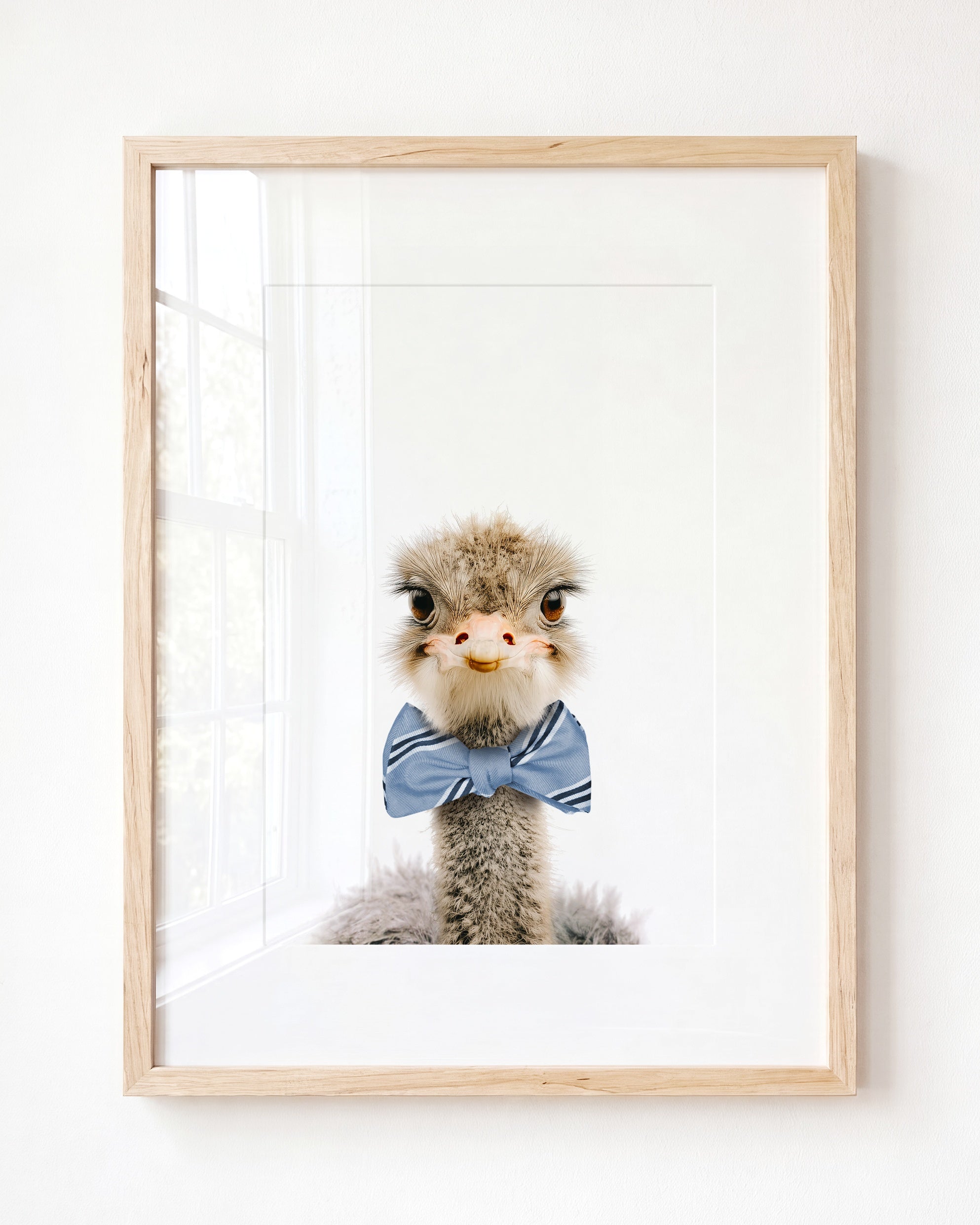 Baby Ostrich