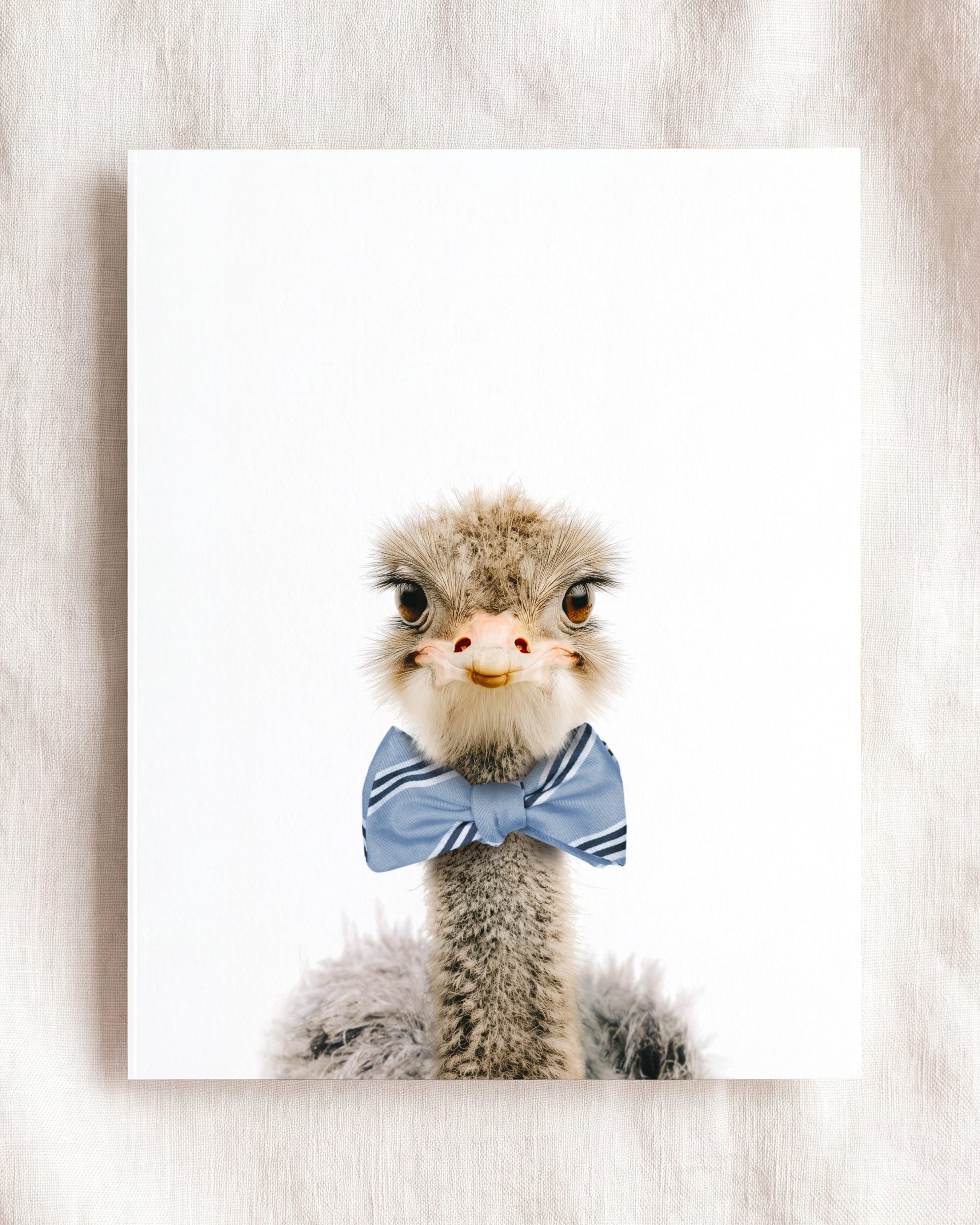 Baby Ostrich