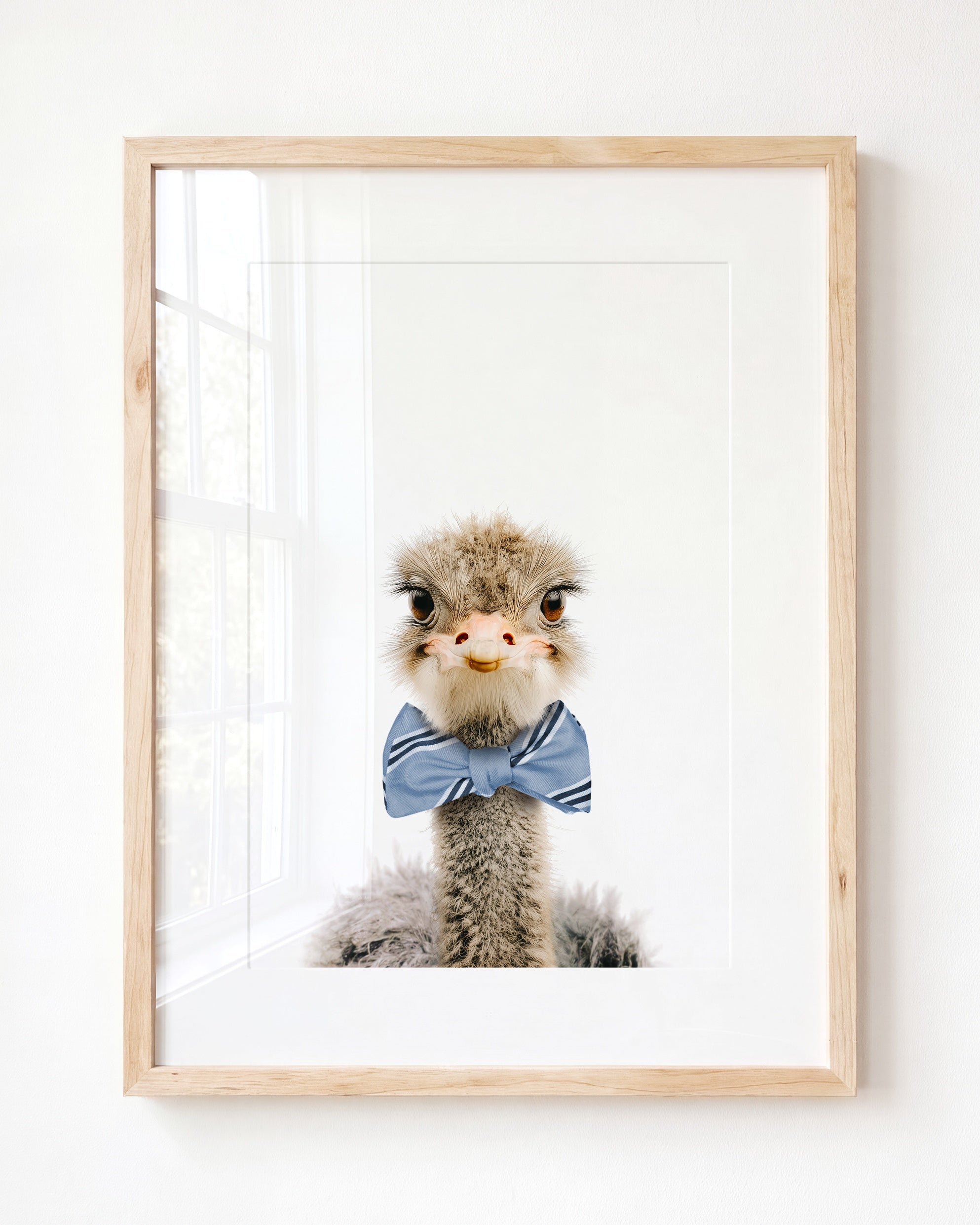 Baby Ostrich