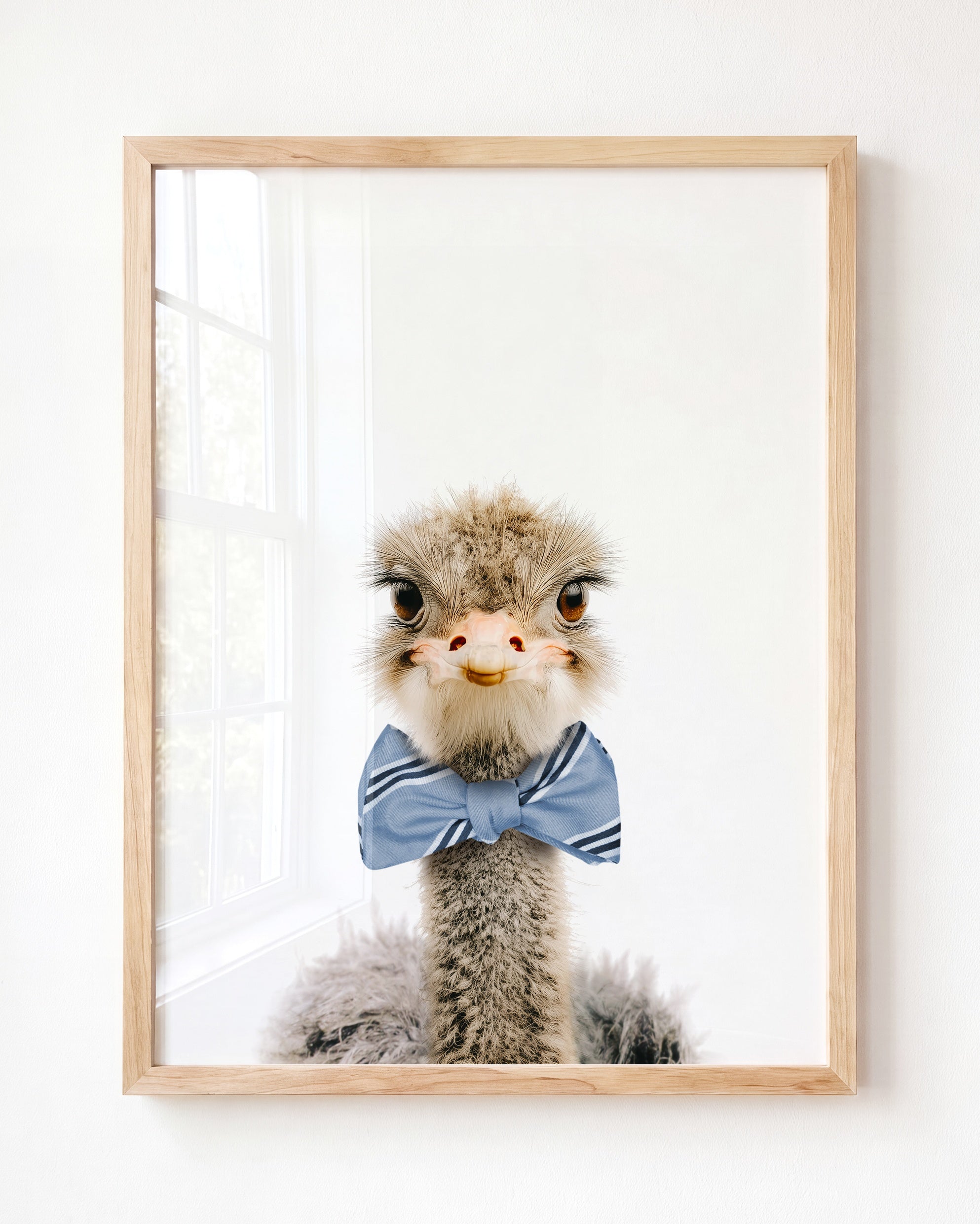 Baby Ostrich