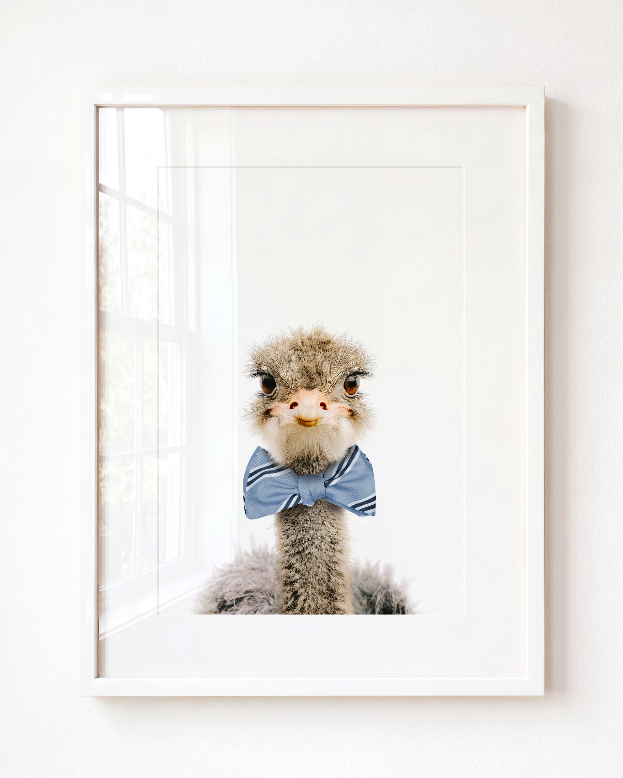 Baby Ostrich