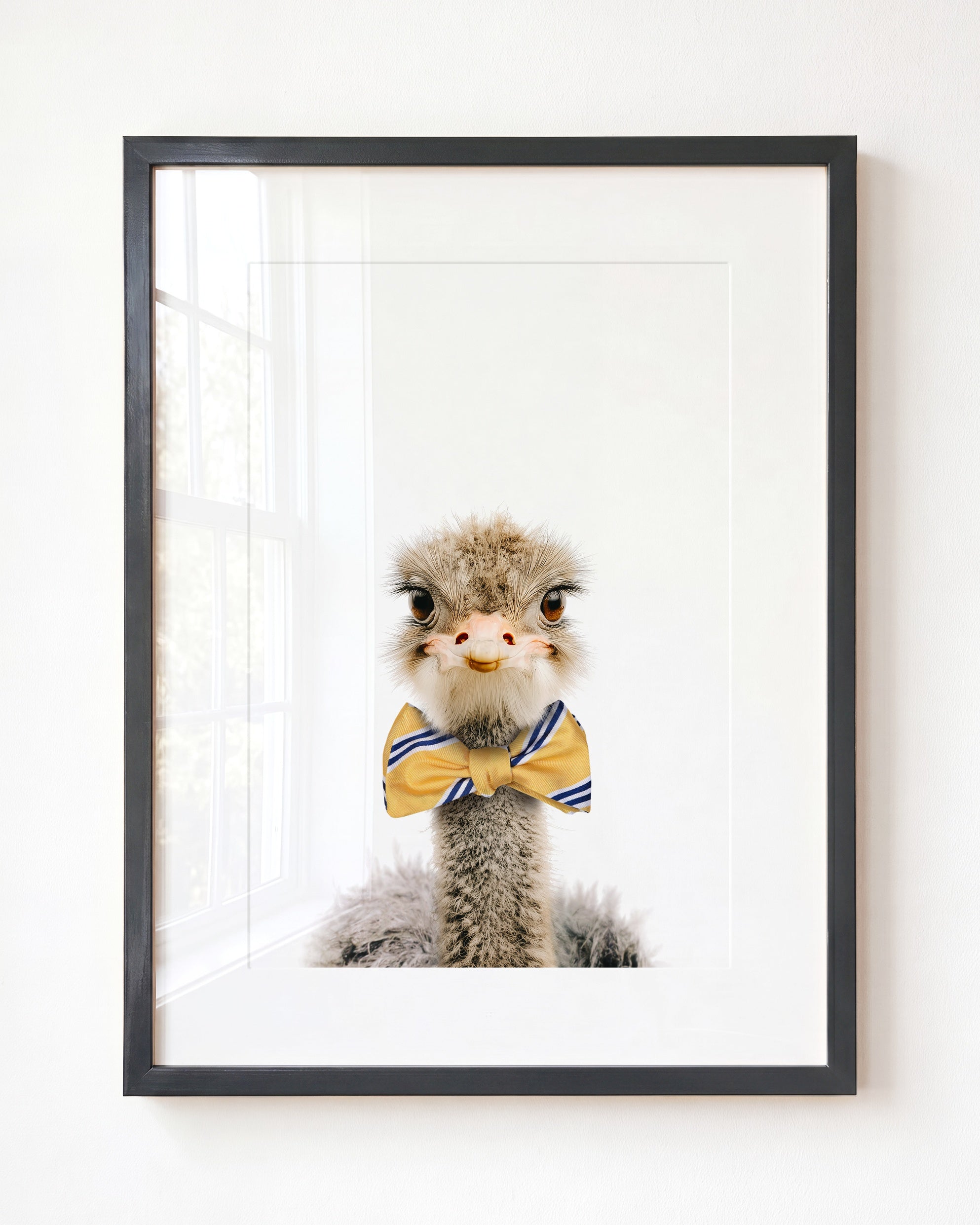 Baby Ostrich