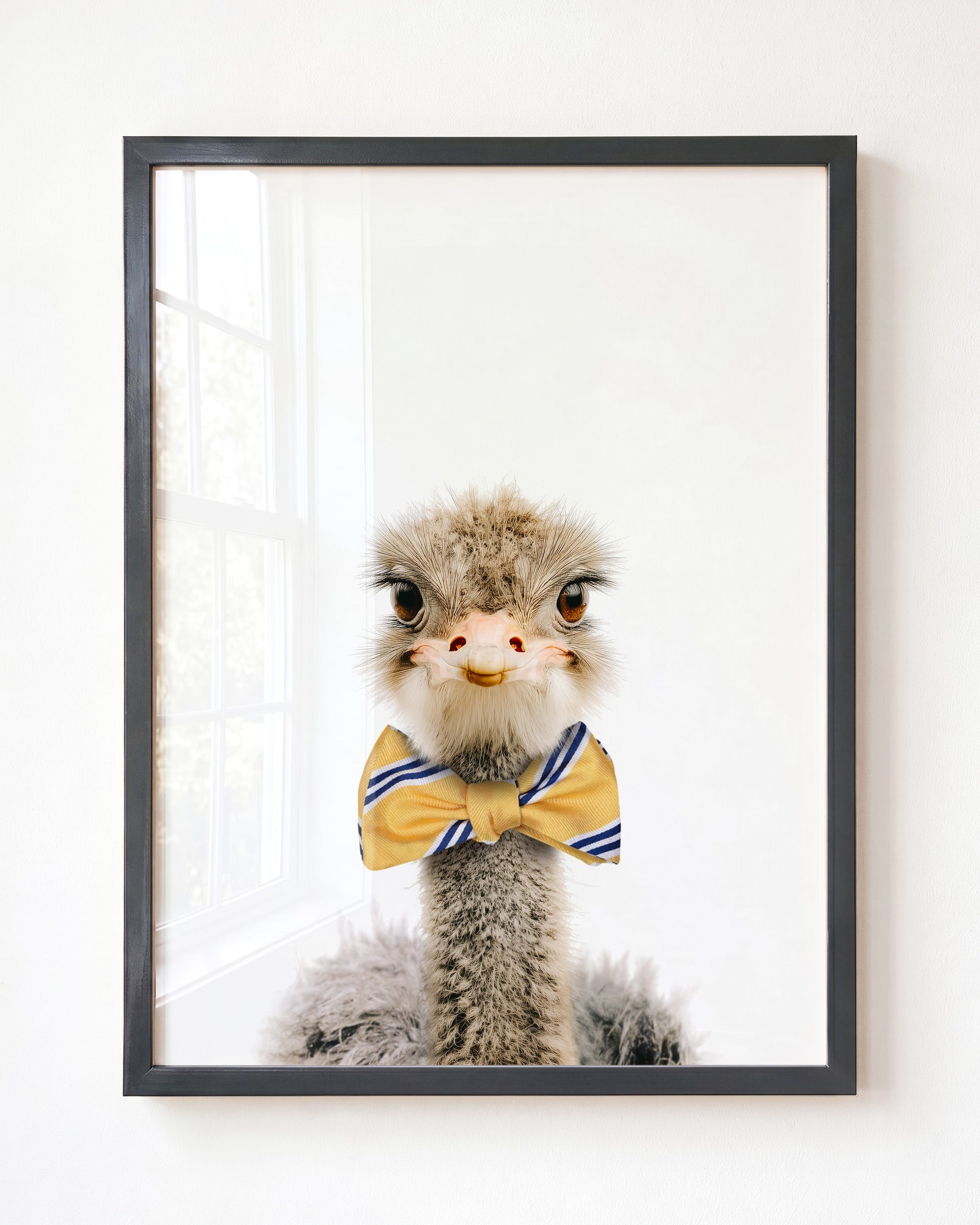 Baby Ostrich
