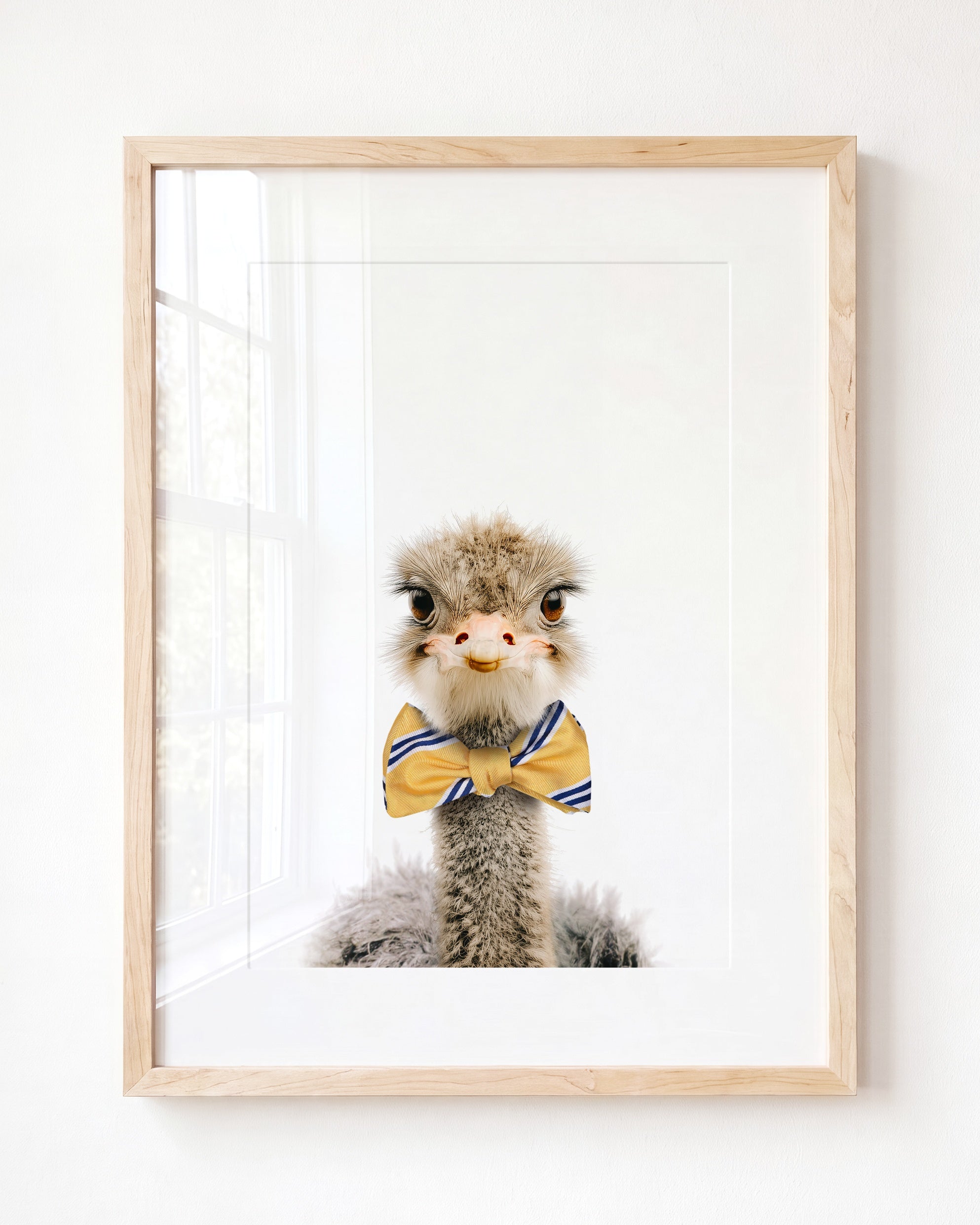 Baby Ostrich