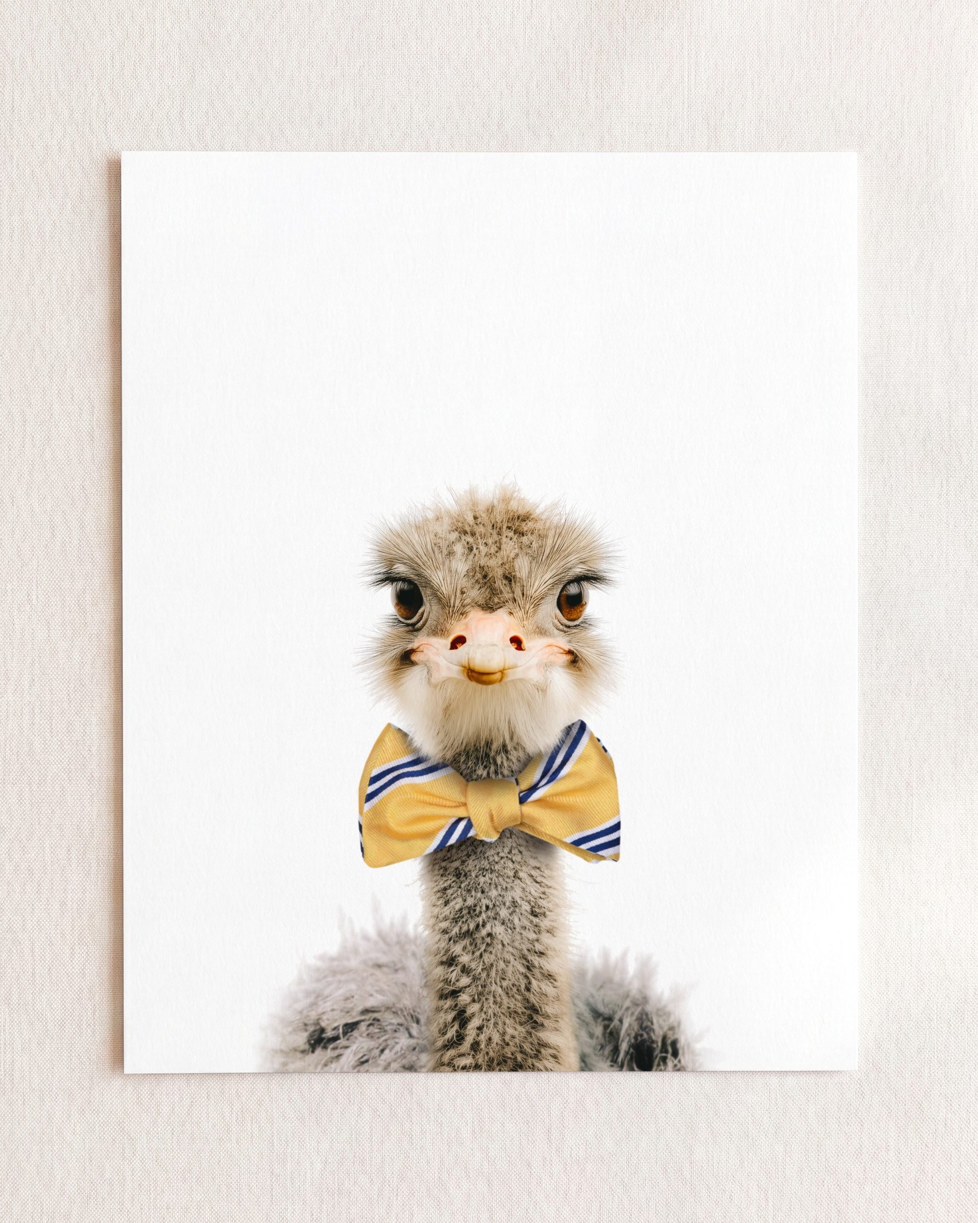 Baby Ostrich