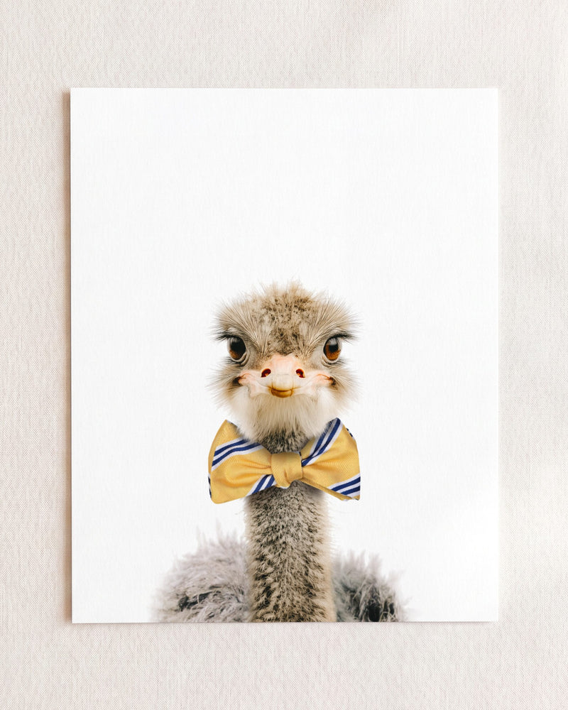 Bow Tie