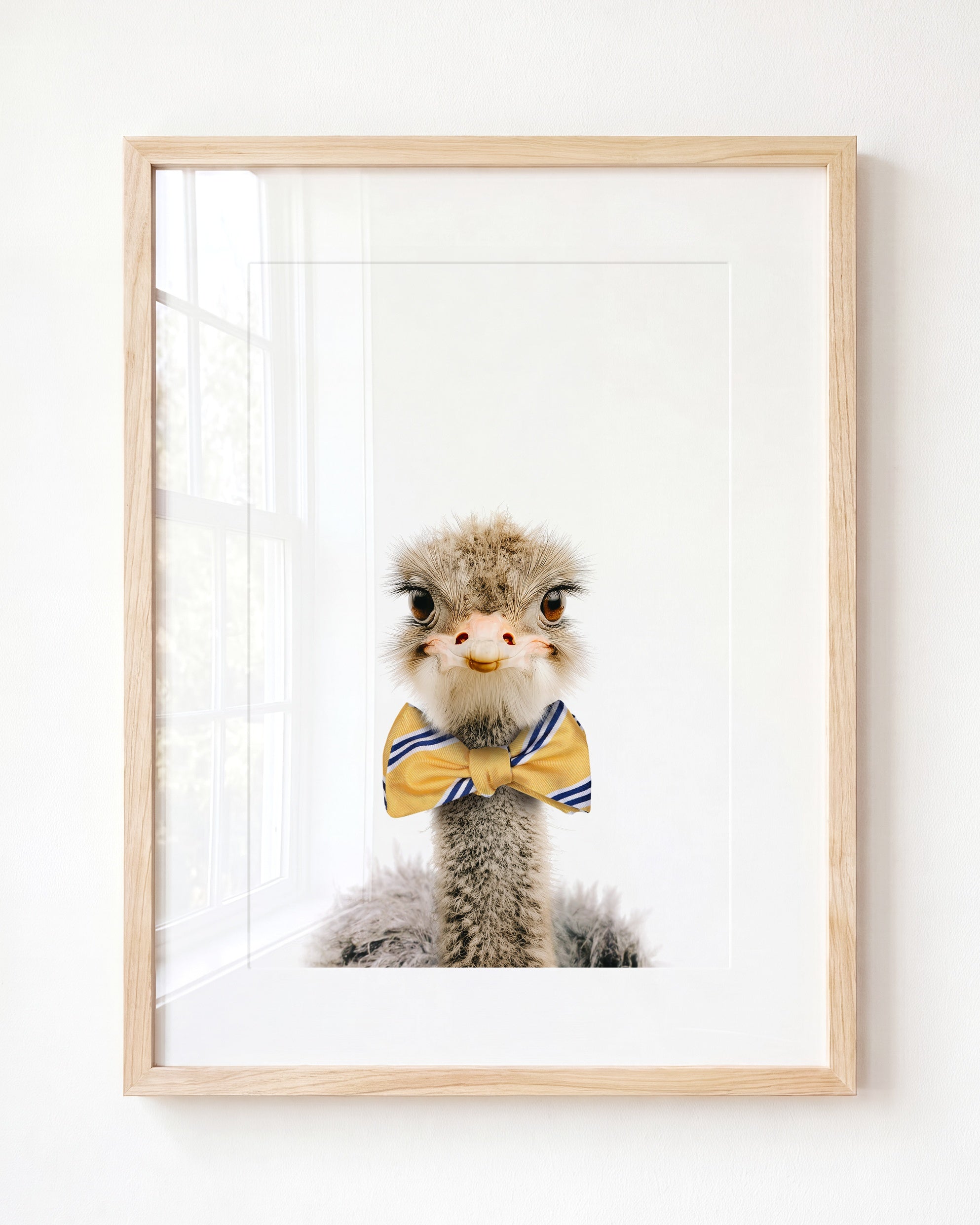 Baby Ostrich