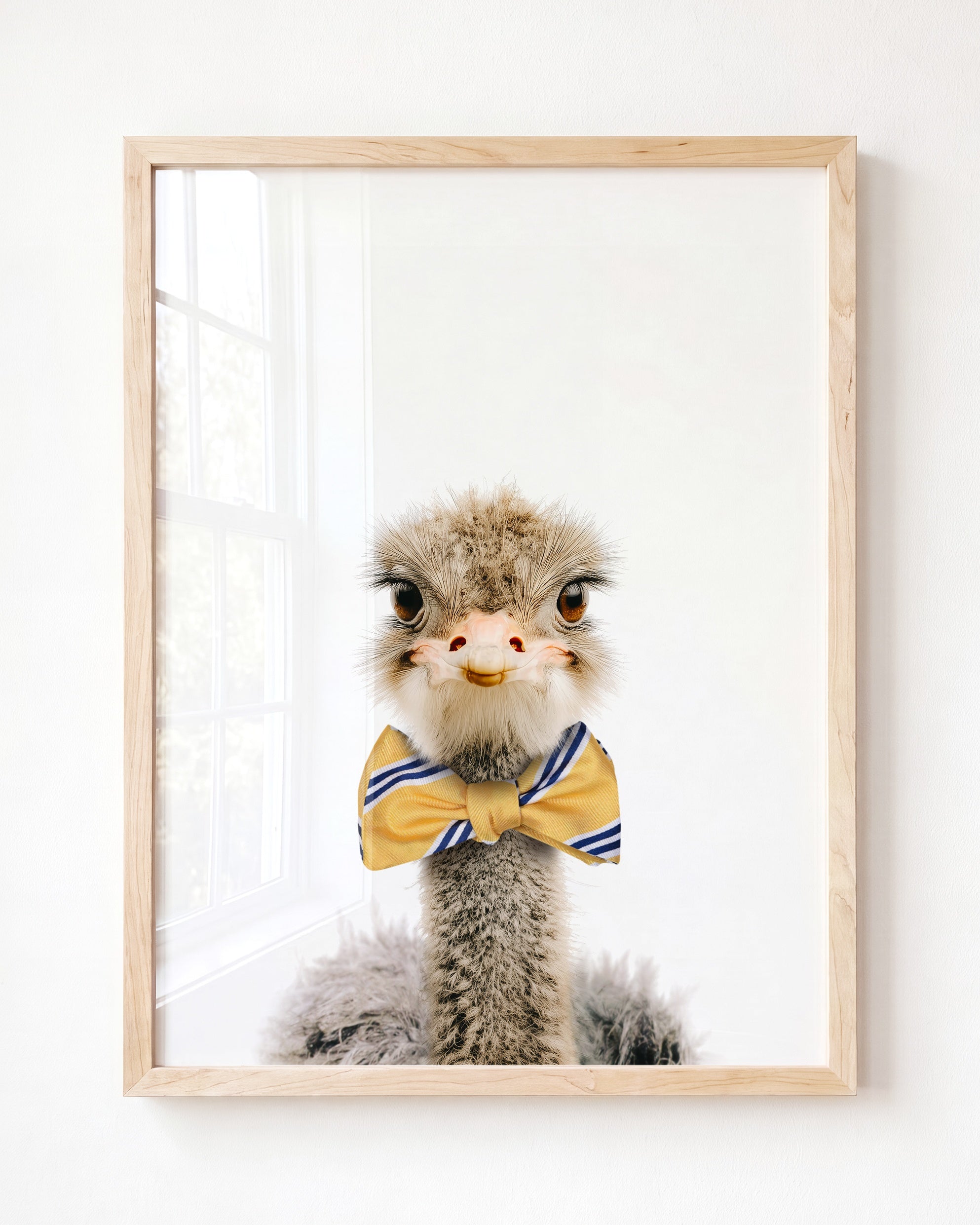 Baby Ostrich