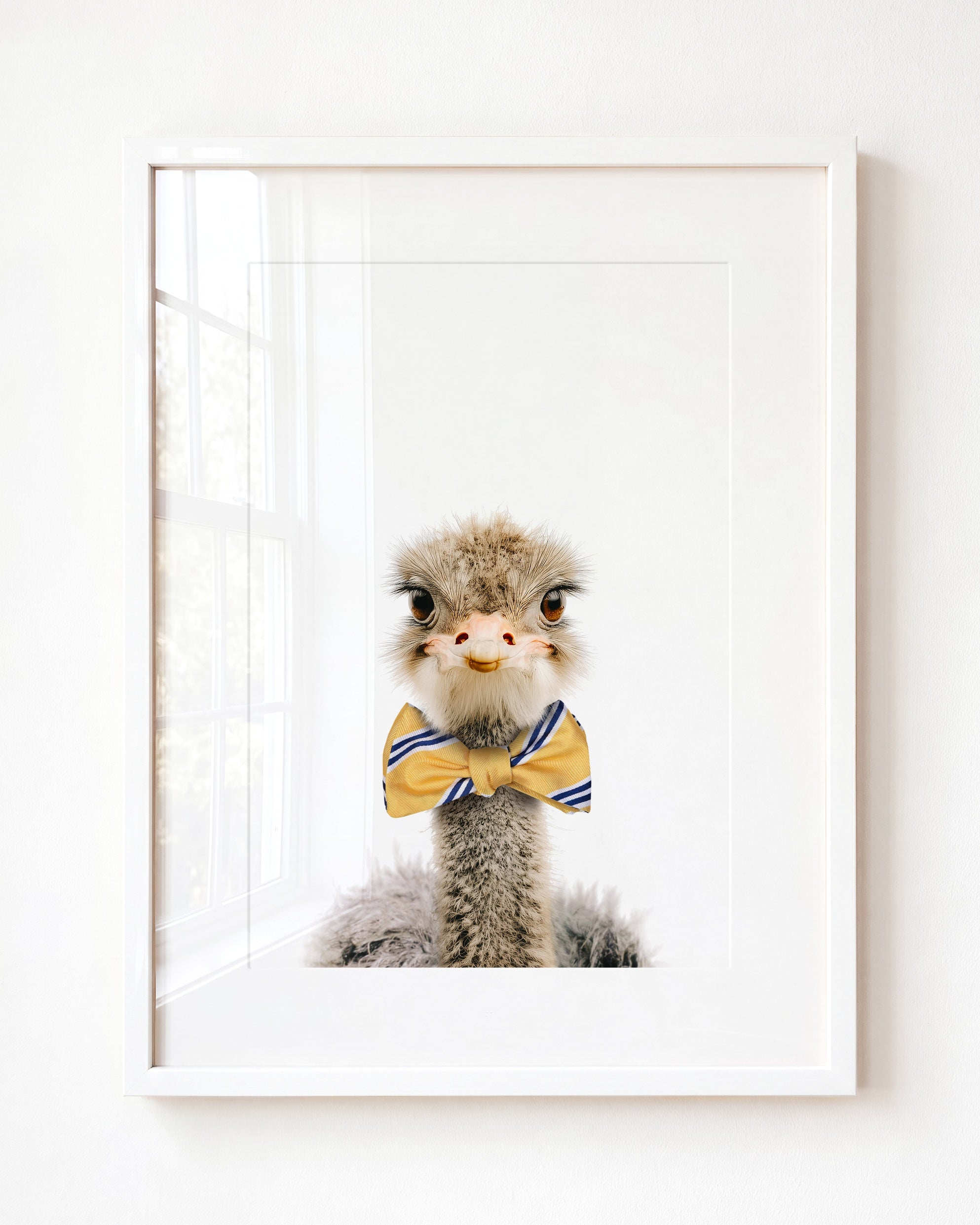 Baby Ostrich
