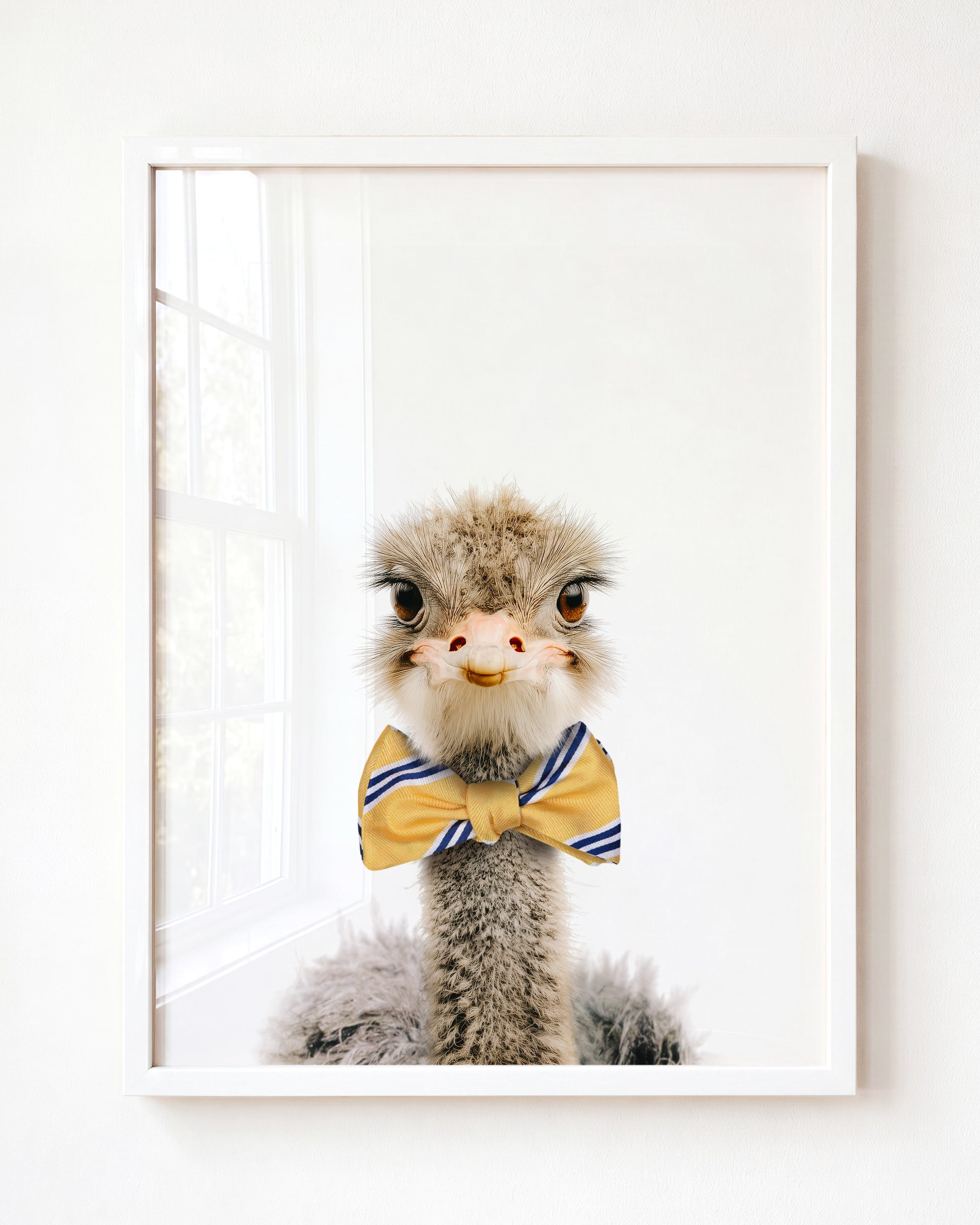 Baby Ostrich