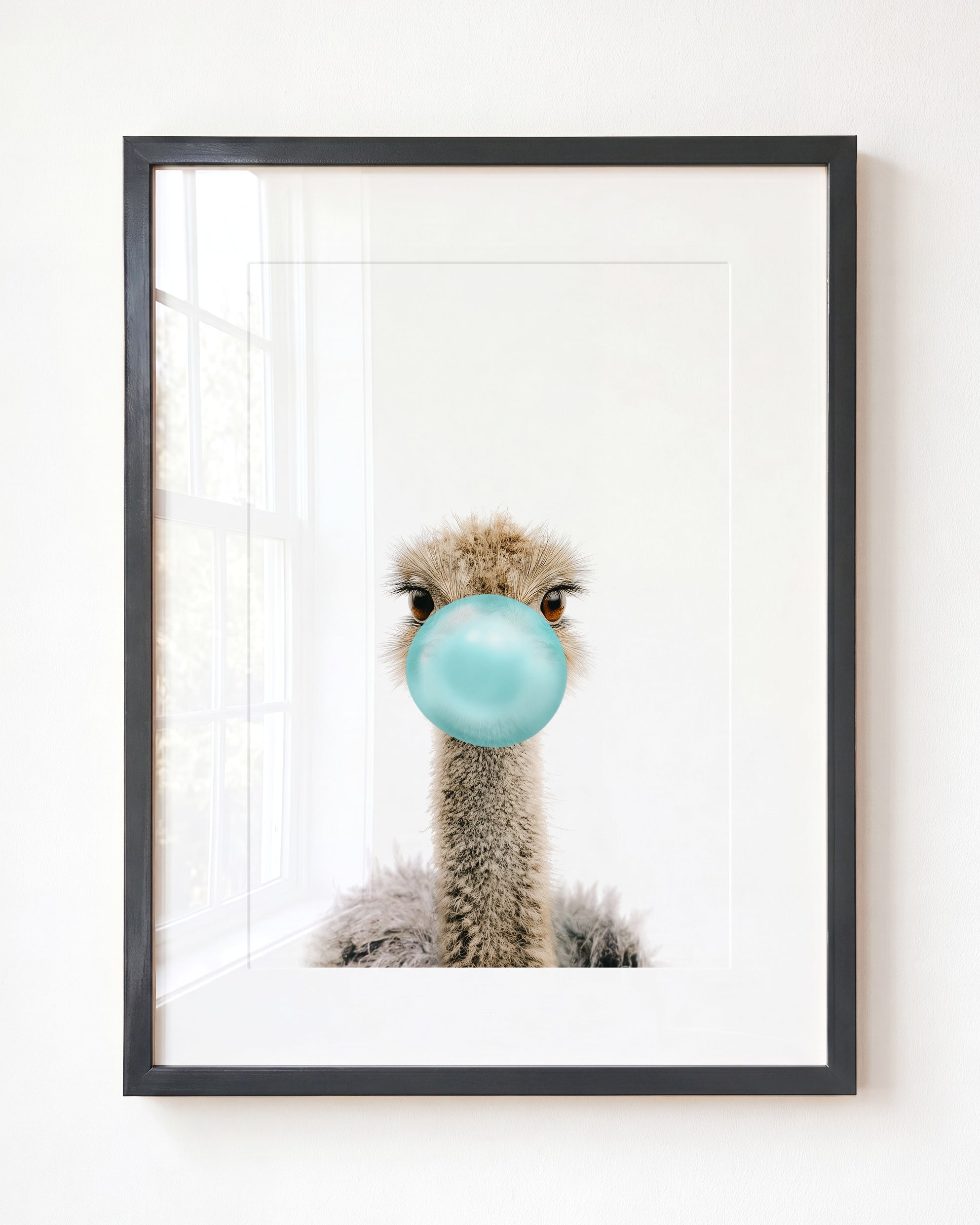 Baby Ostrich