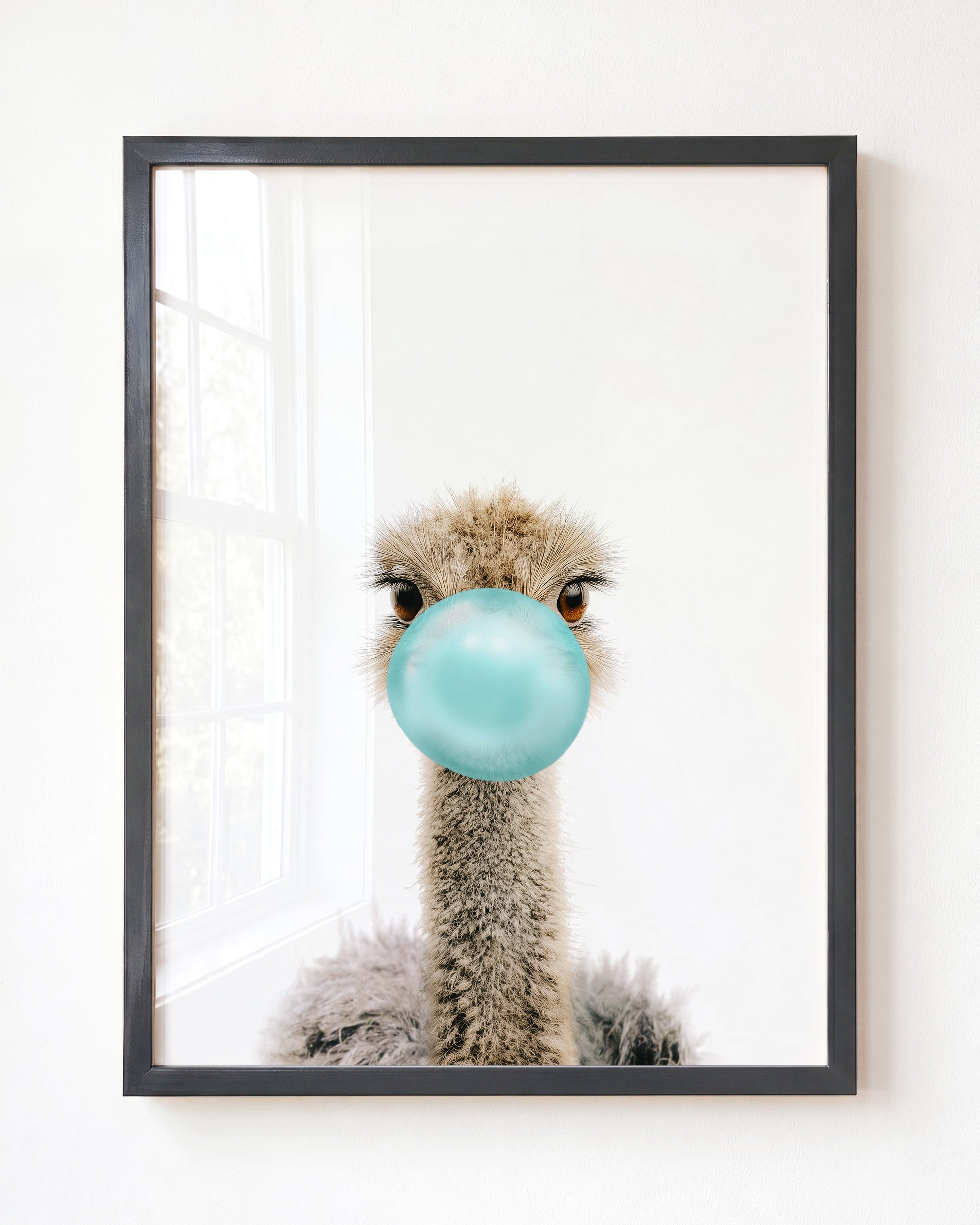 Baby Ostrich