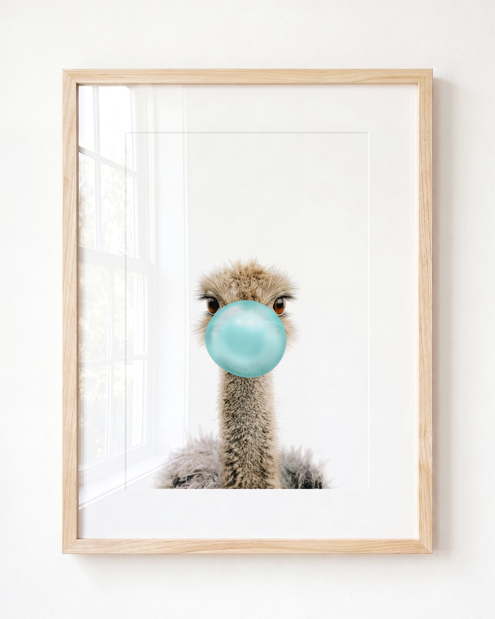 Baby Ostrich