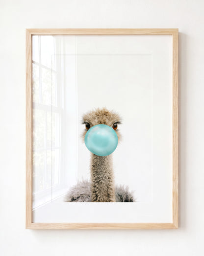 Baby Ostrich