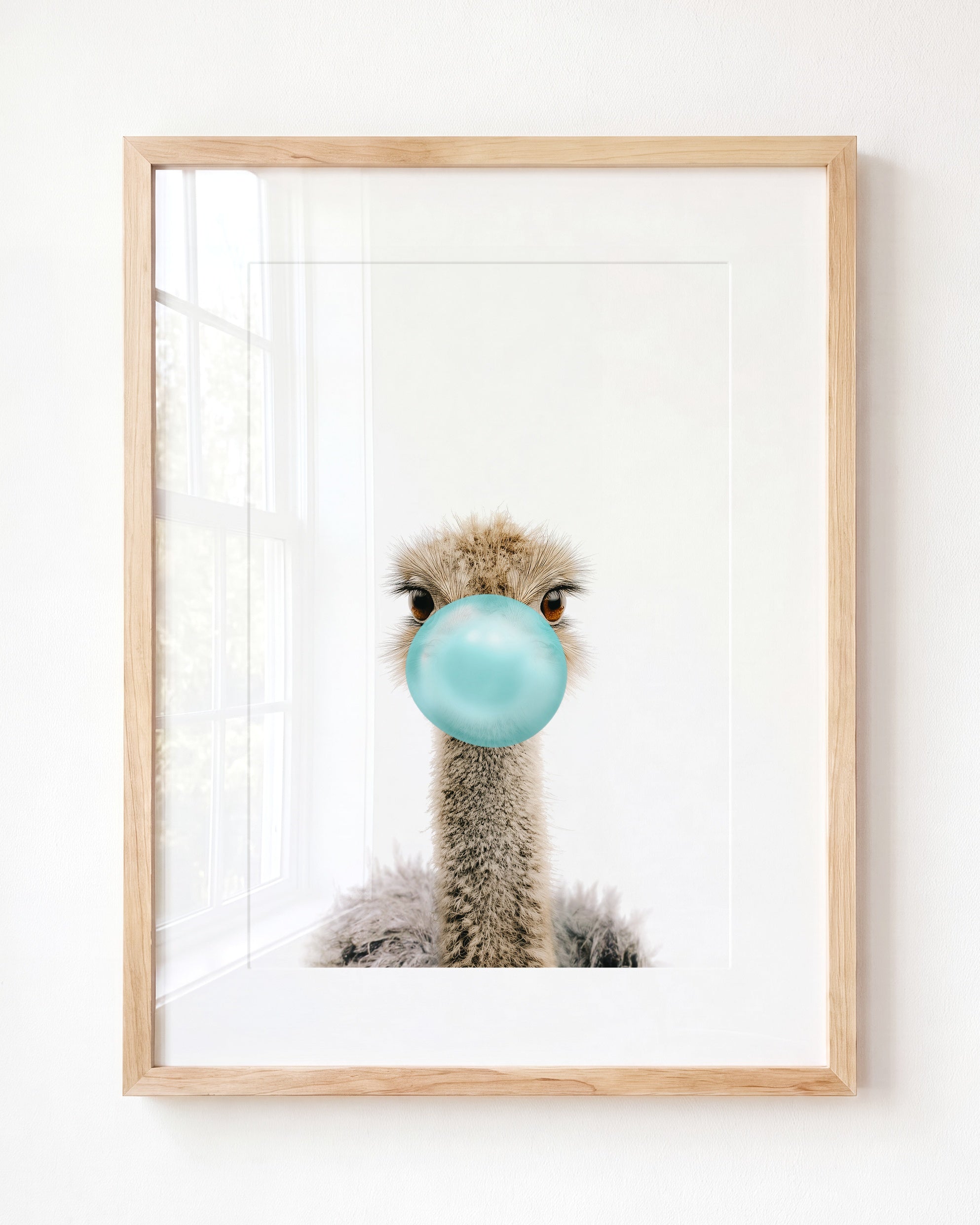 Baby Ostrich