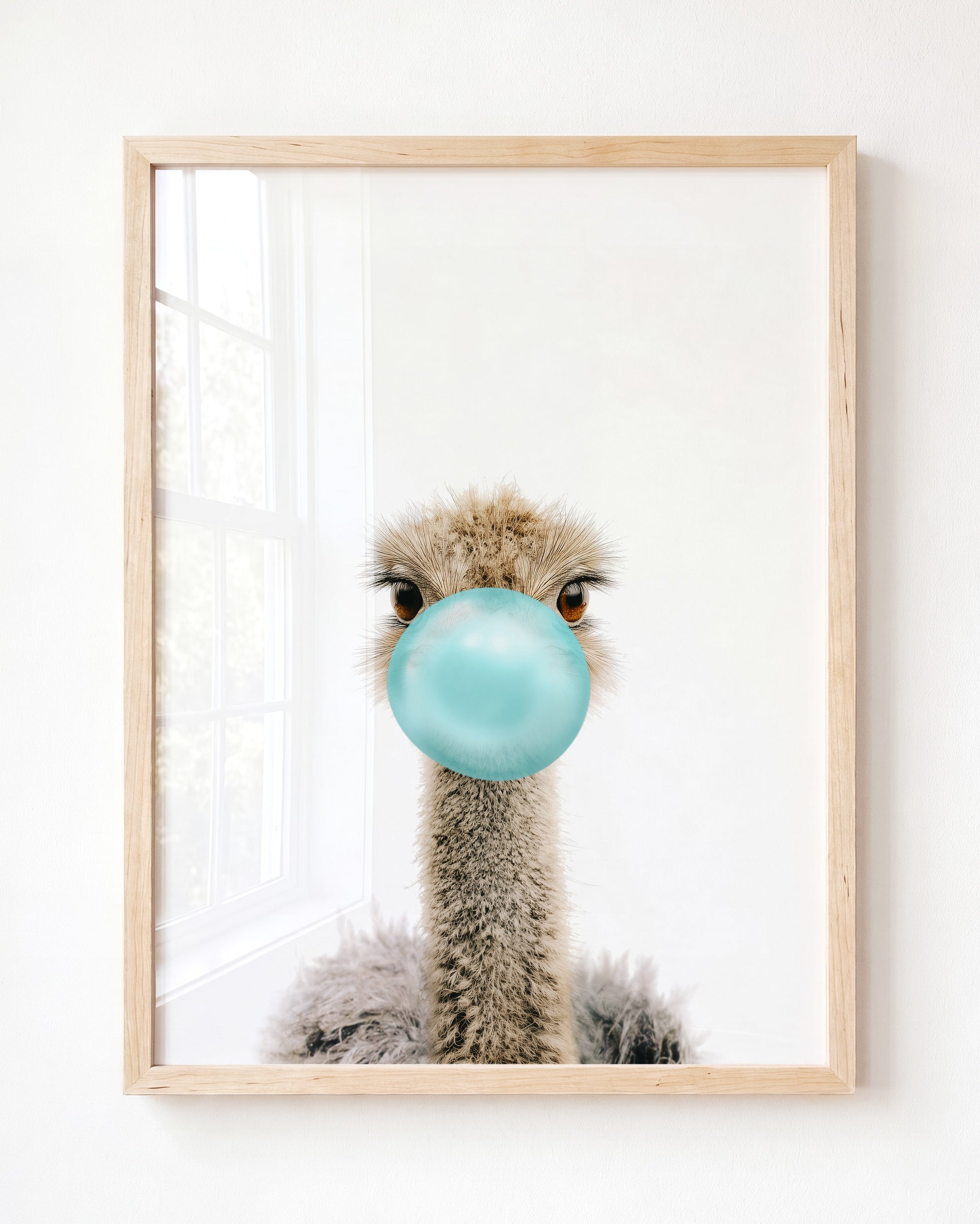 Baby Ostrich