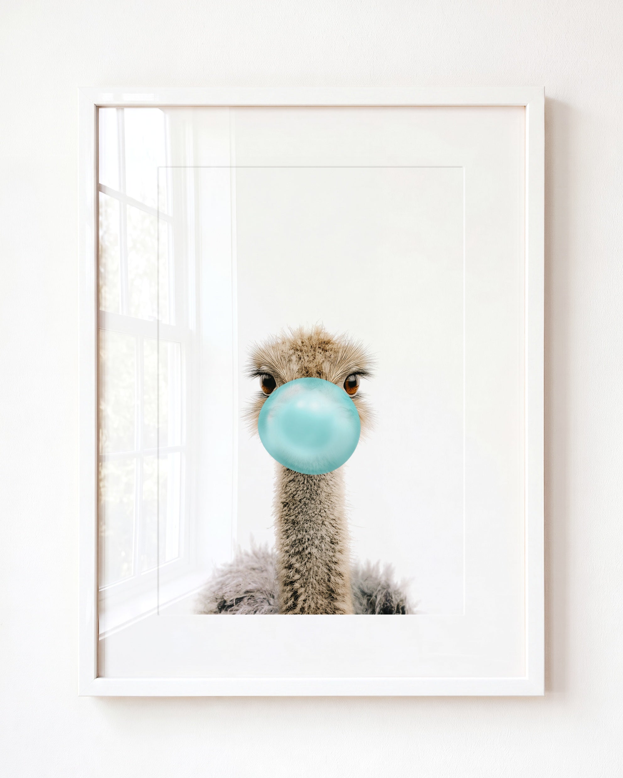 Baby Ostrich
