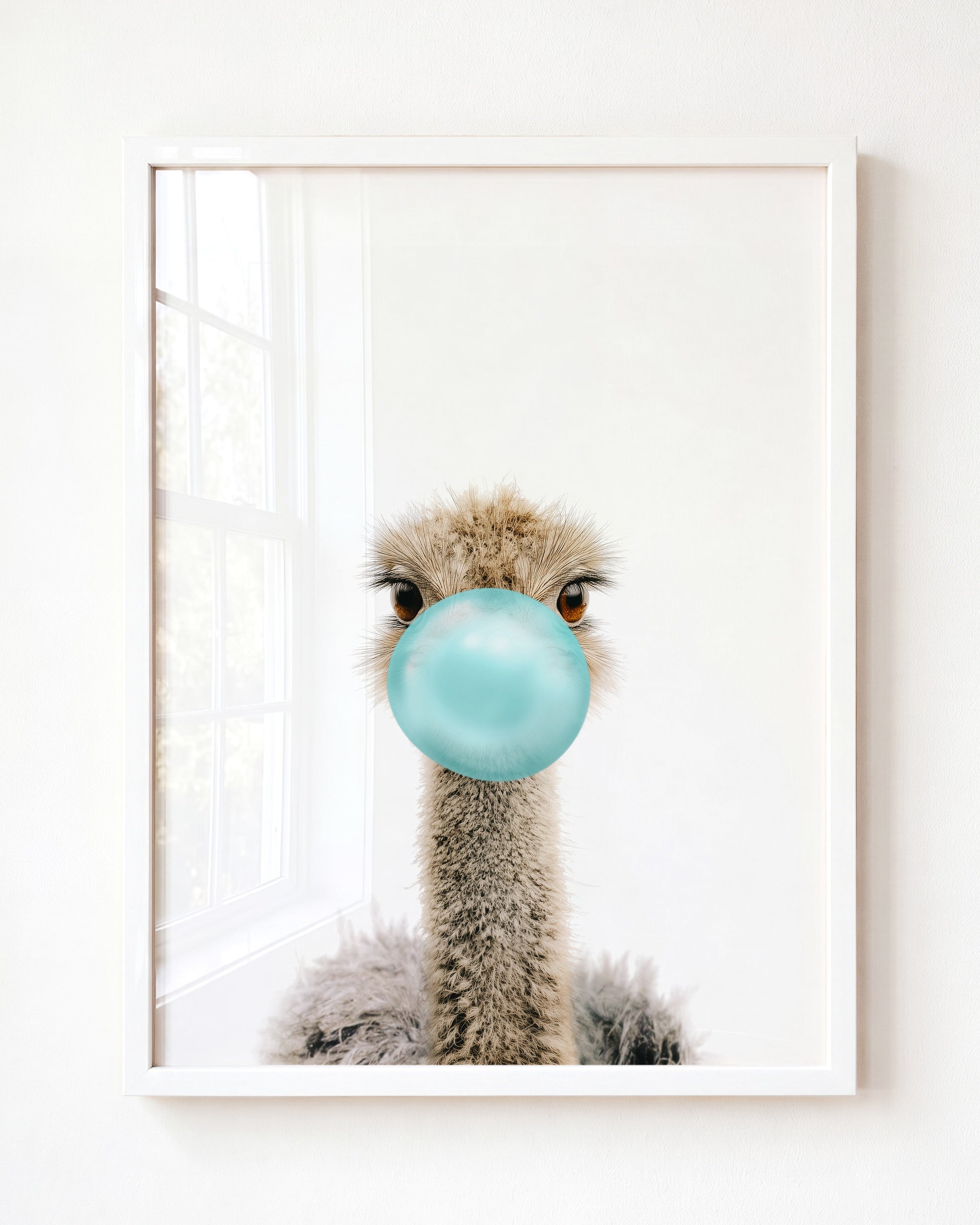 Baby Ostrich