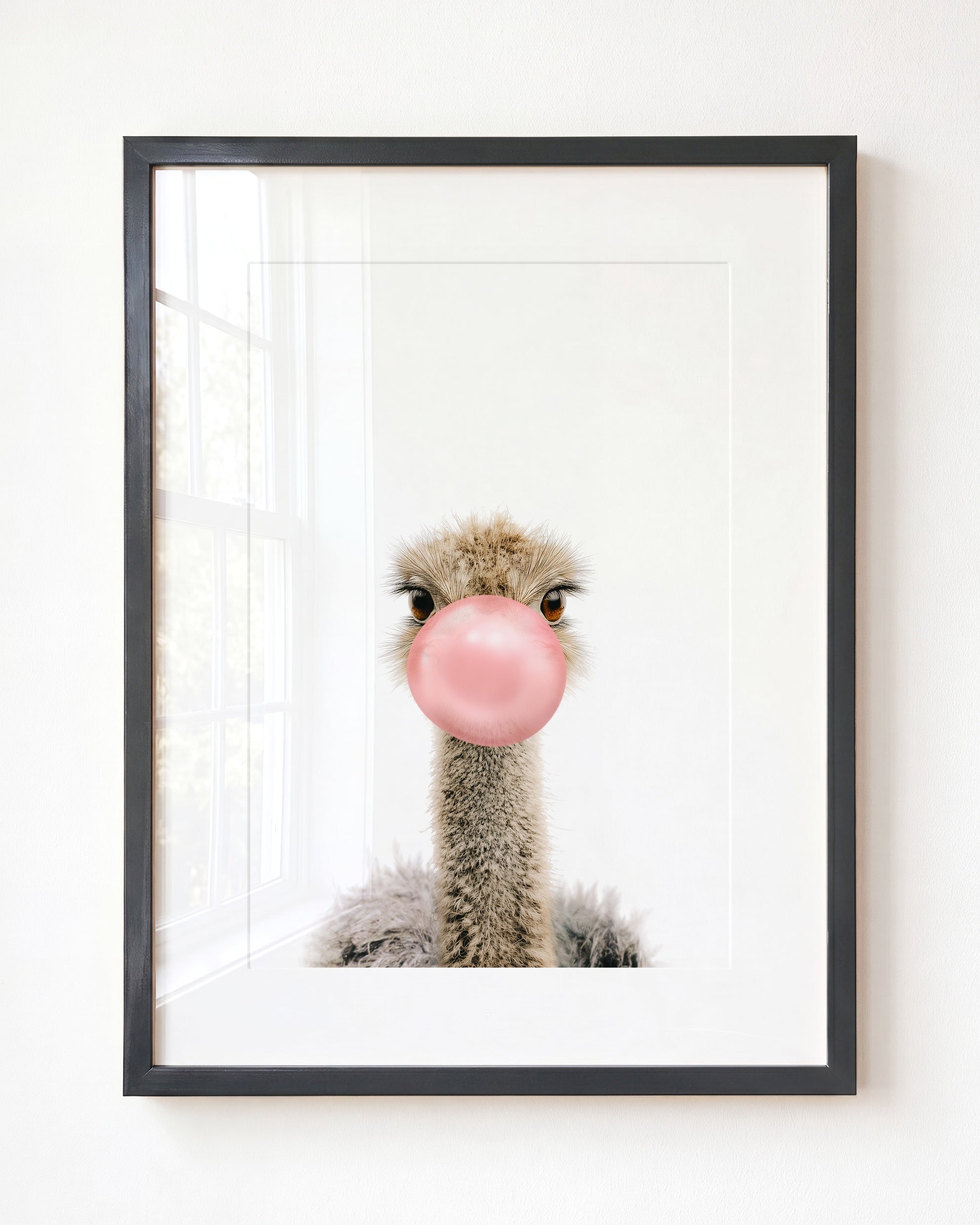 Baby Ostrich