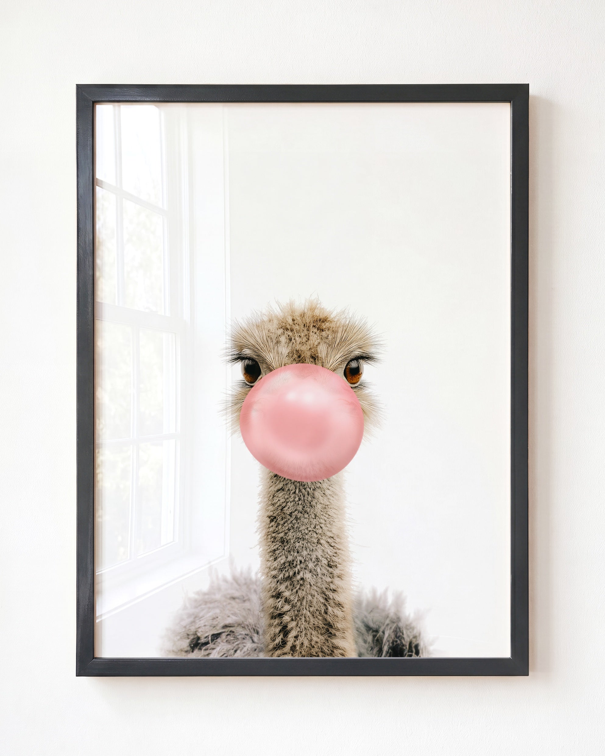 Baby Ostrich