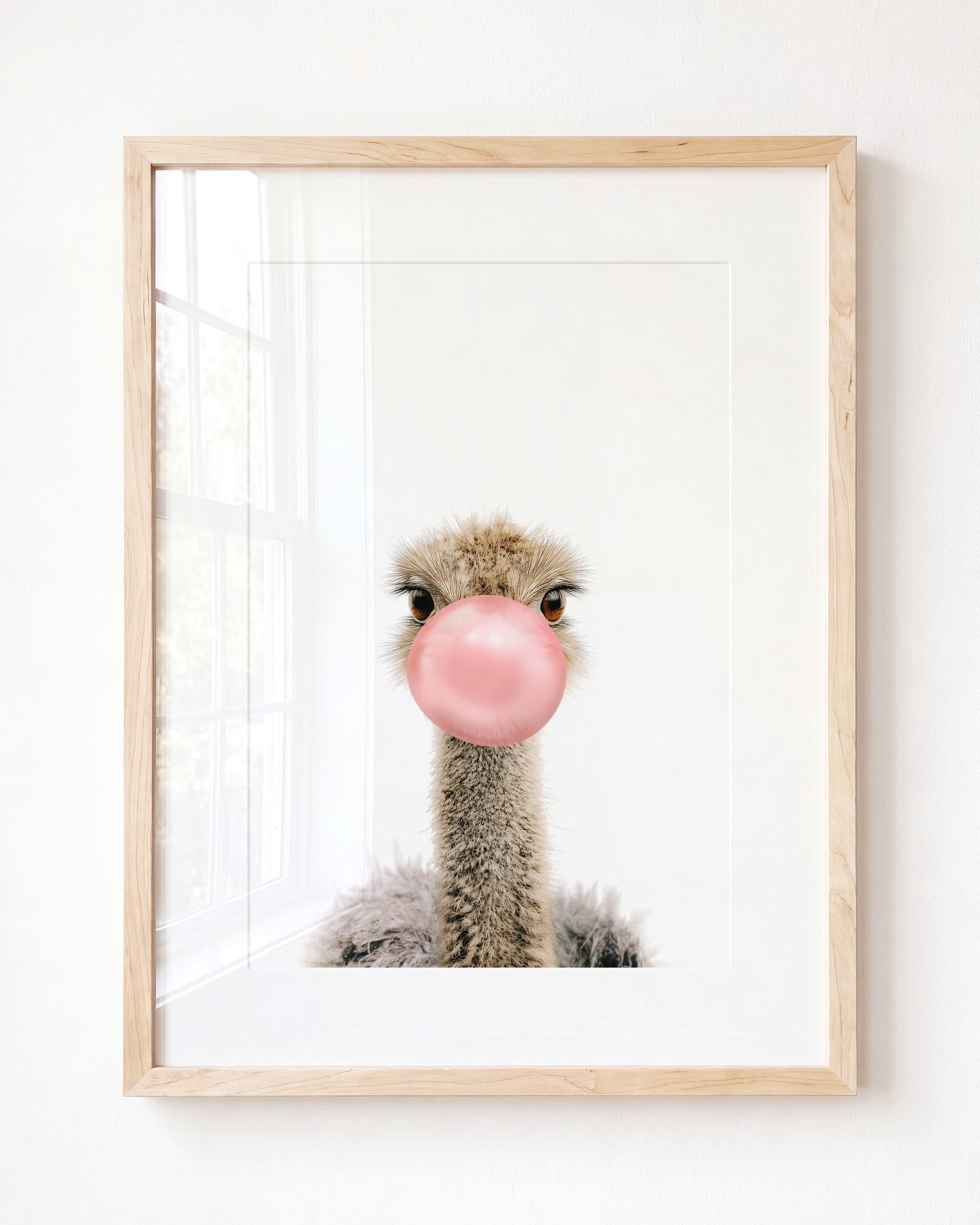Baby Ostrich