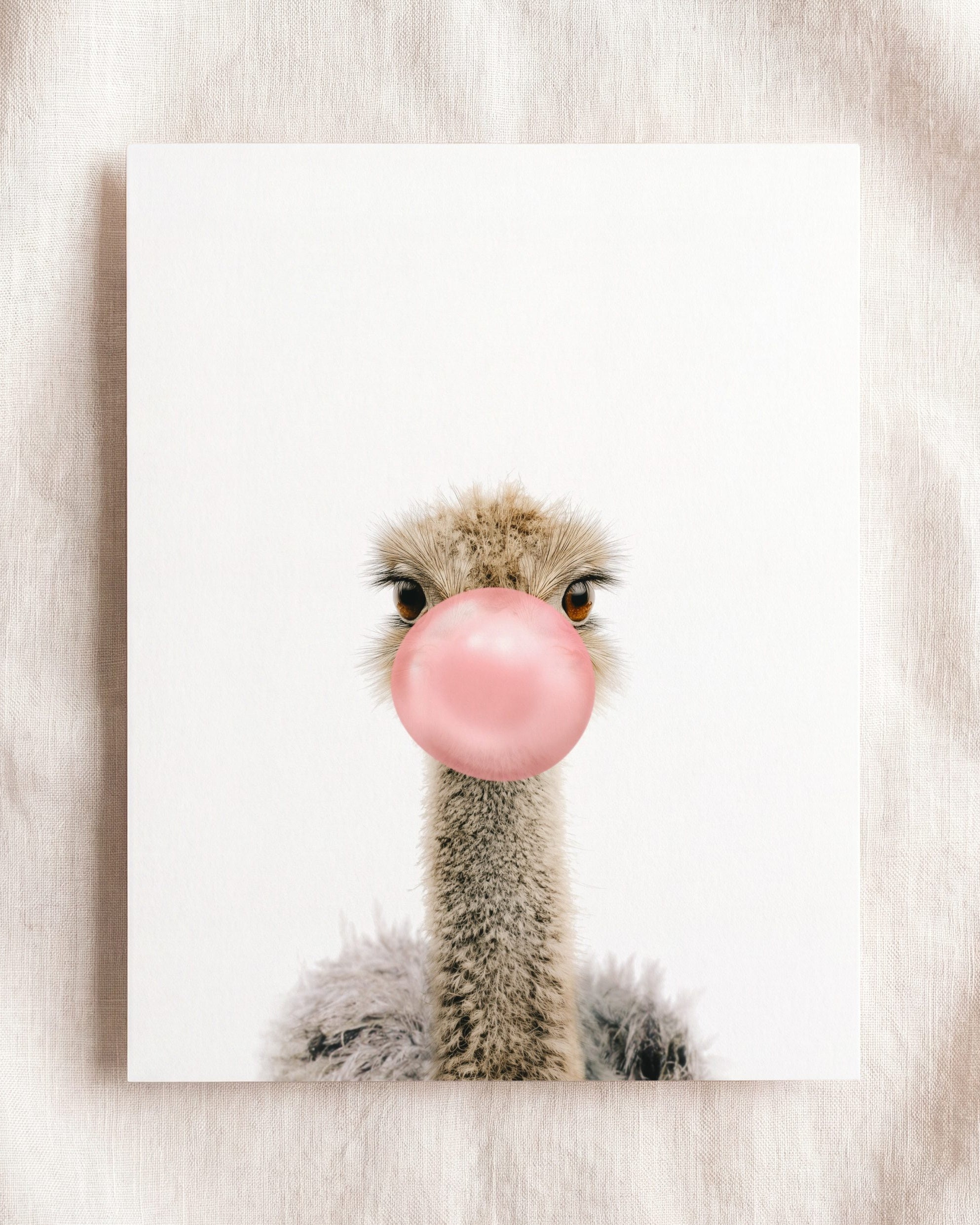 Baby Ostrich