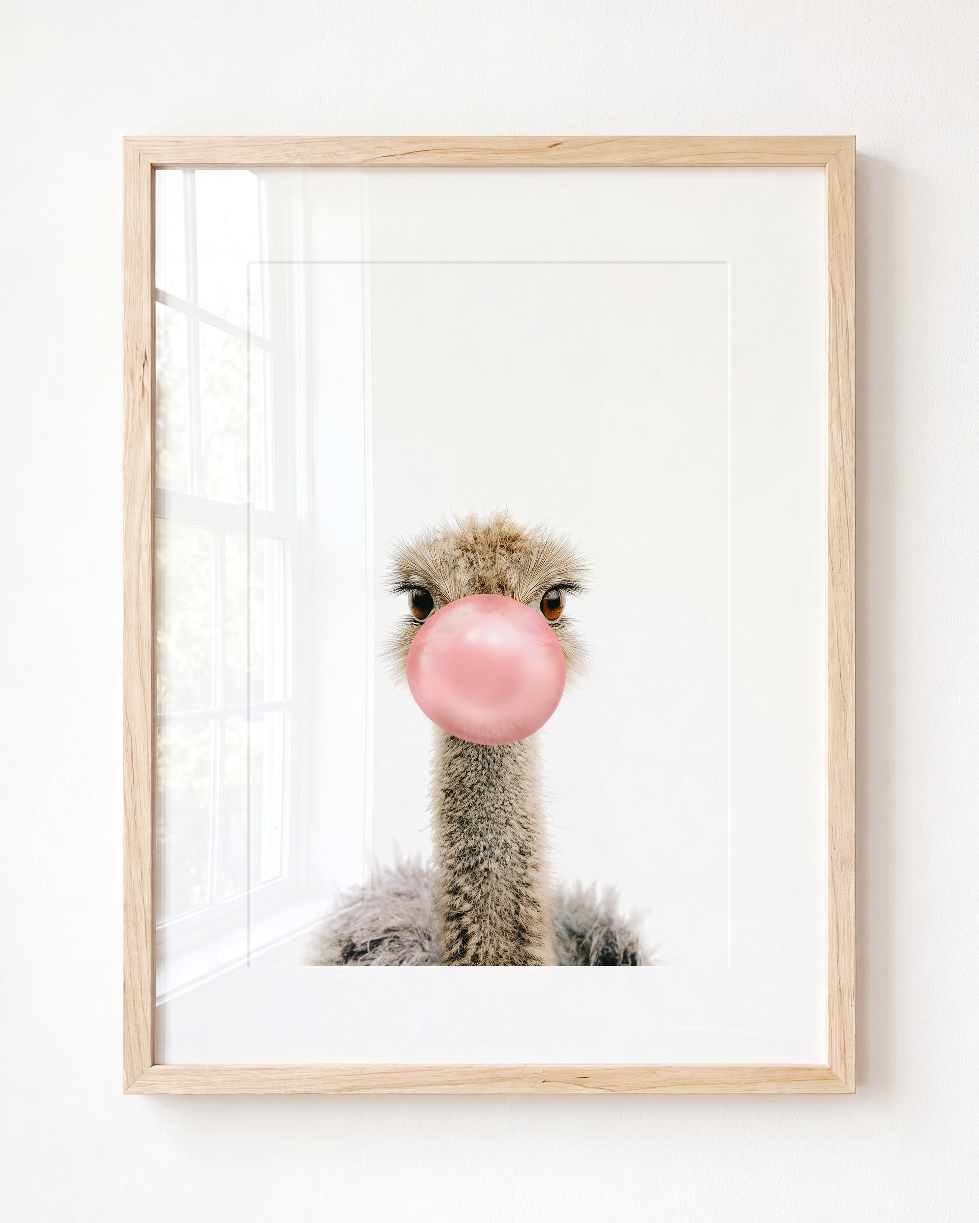 Baby Ostrich