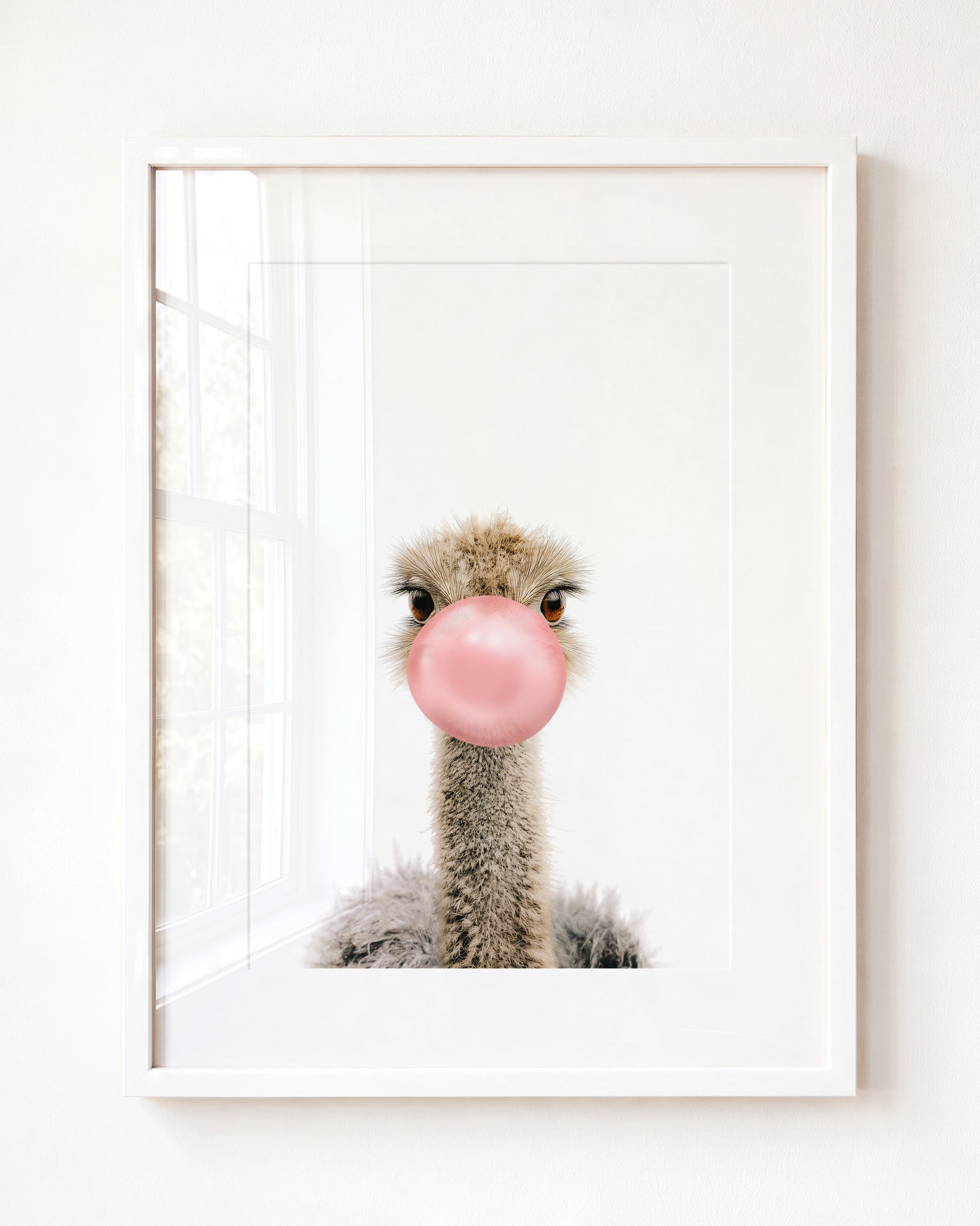 Baby Ostrich