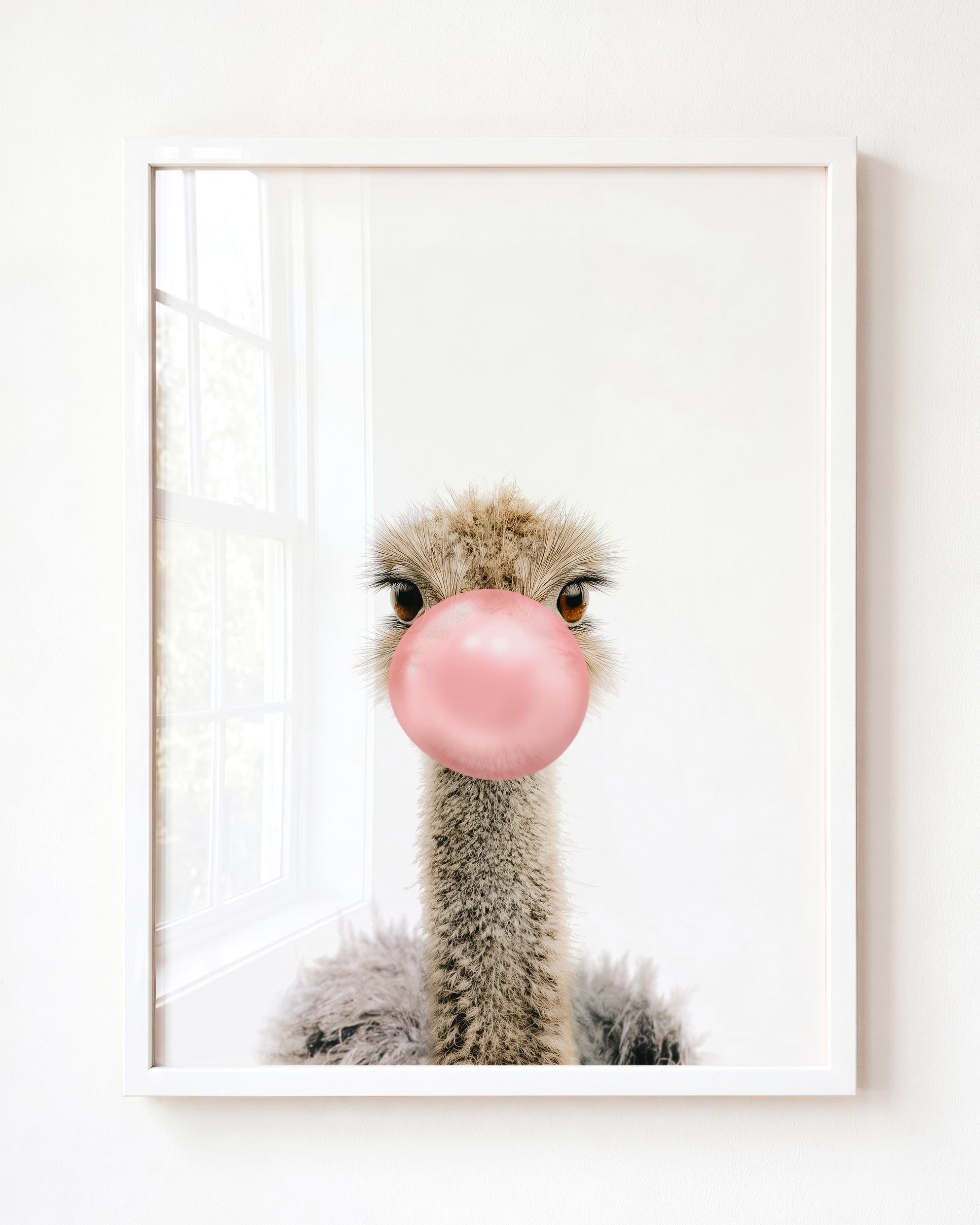 Baby Ostrich