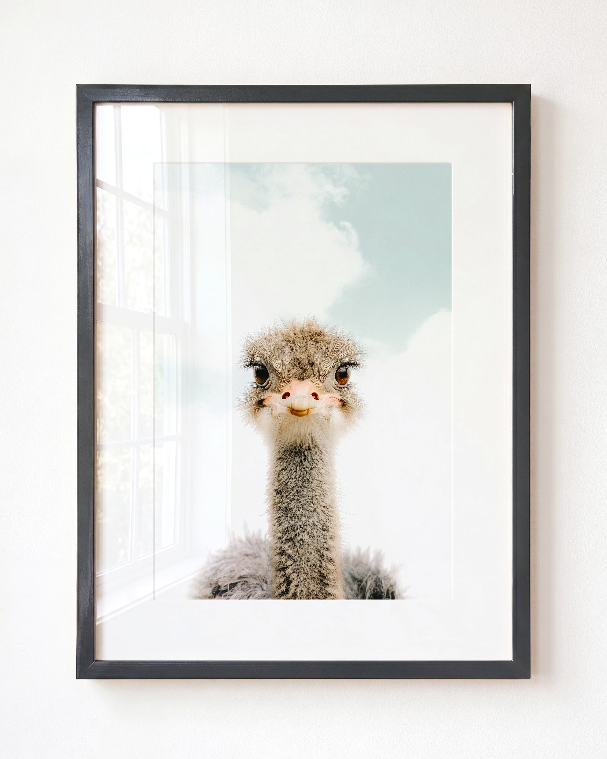 Baby Ostrich