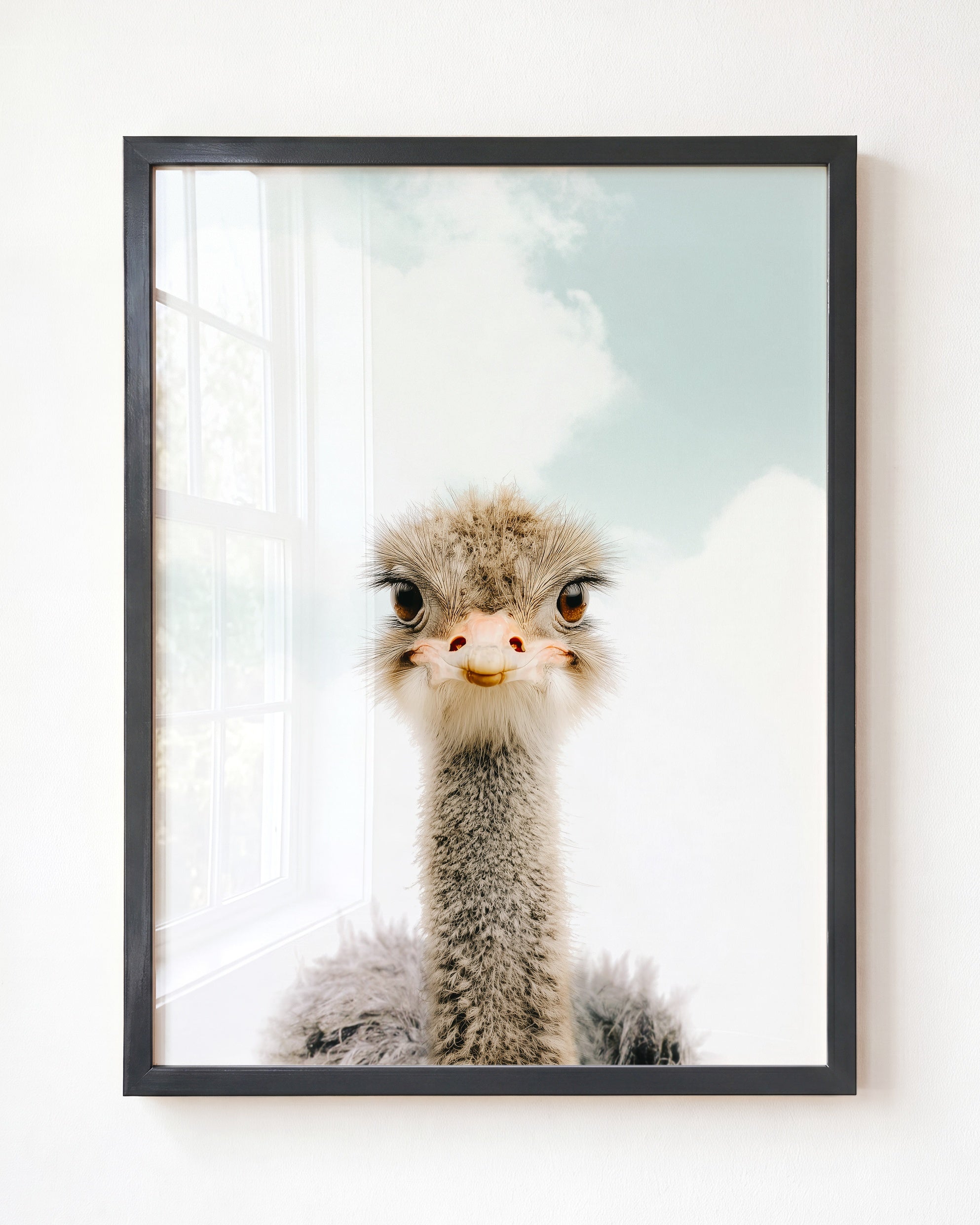 Baby Ostrich