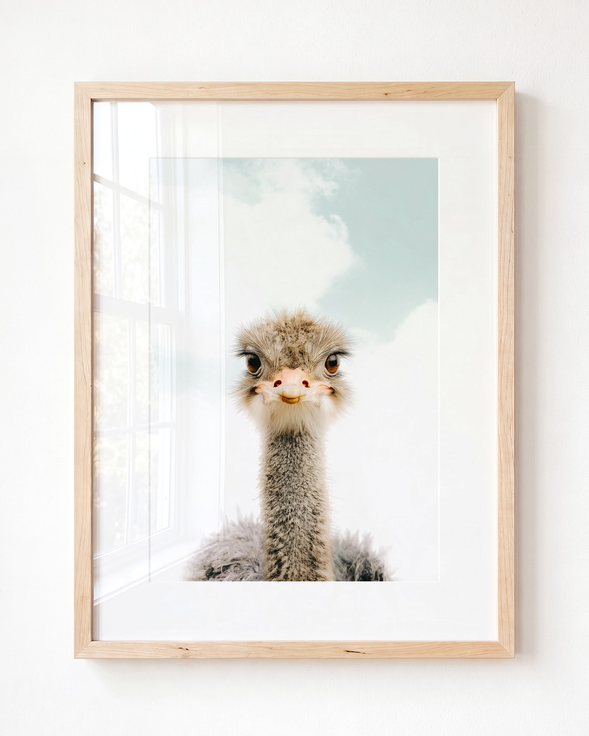 Baby Ostrich