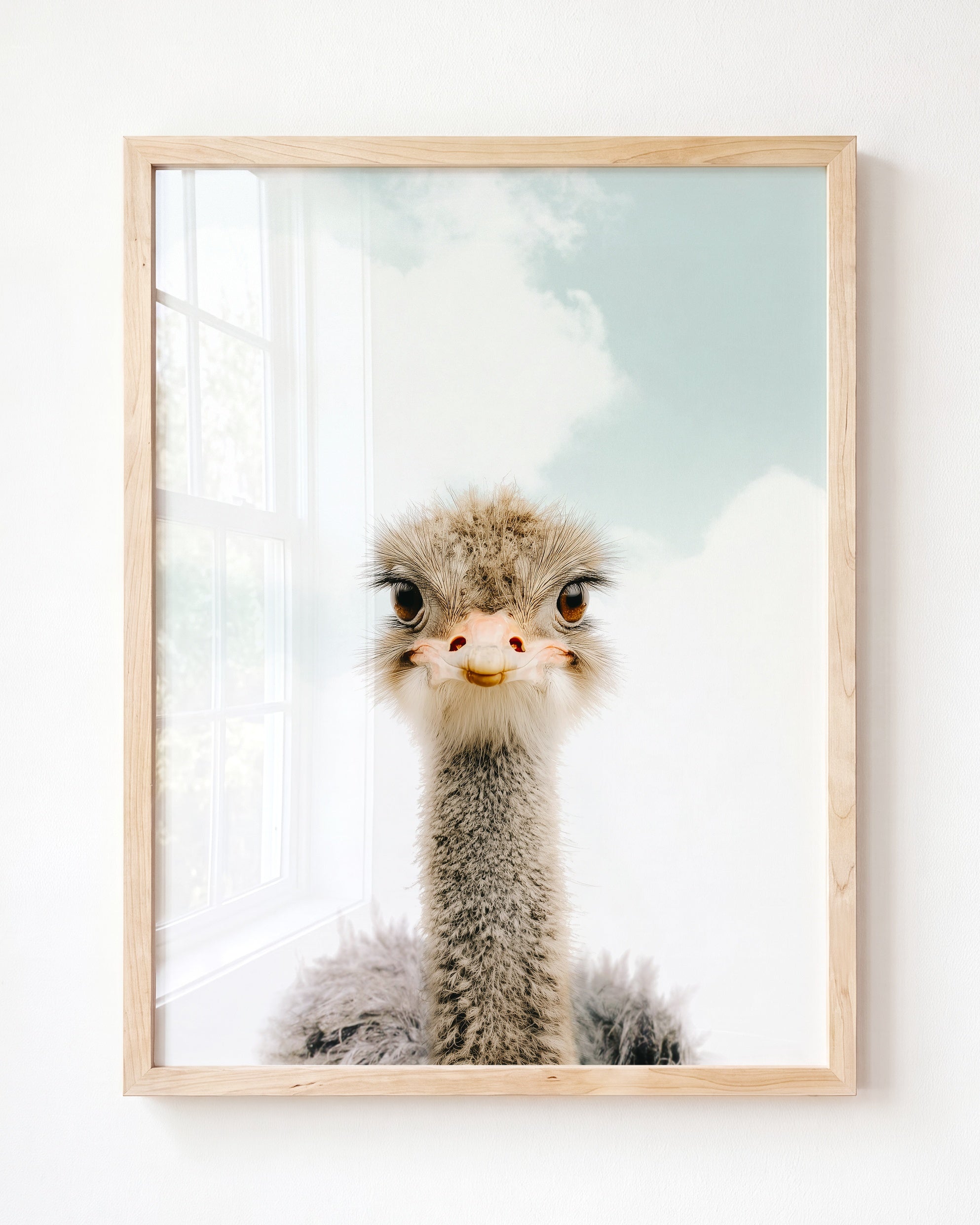 Baby Ostrich