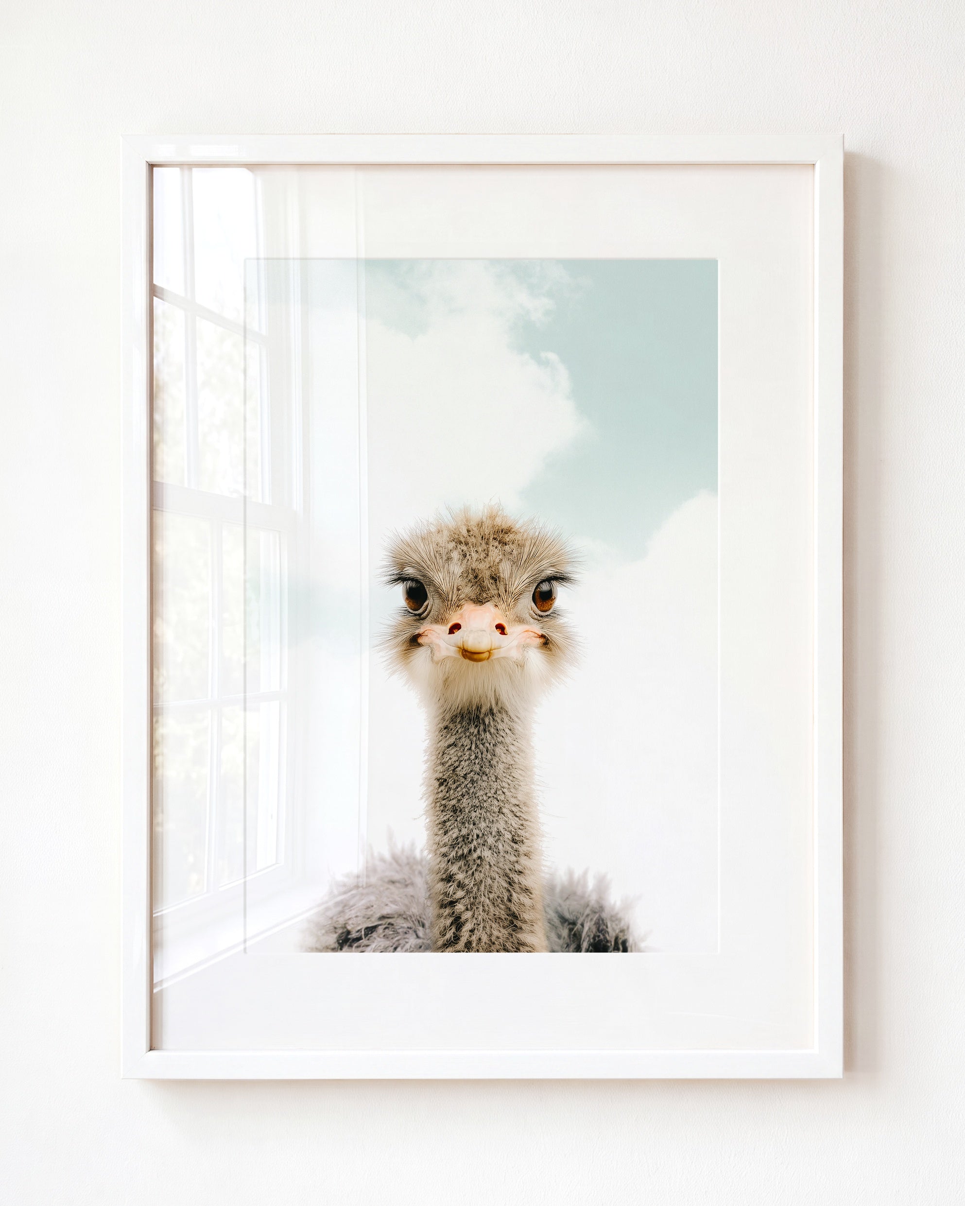 Baby Ostrich