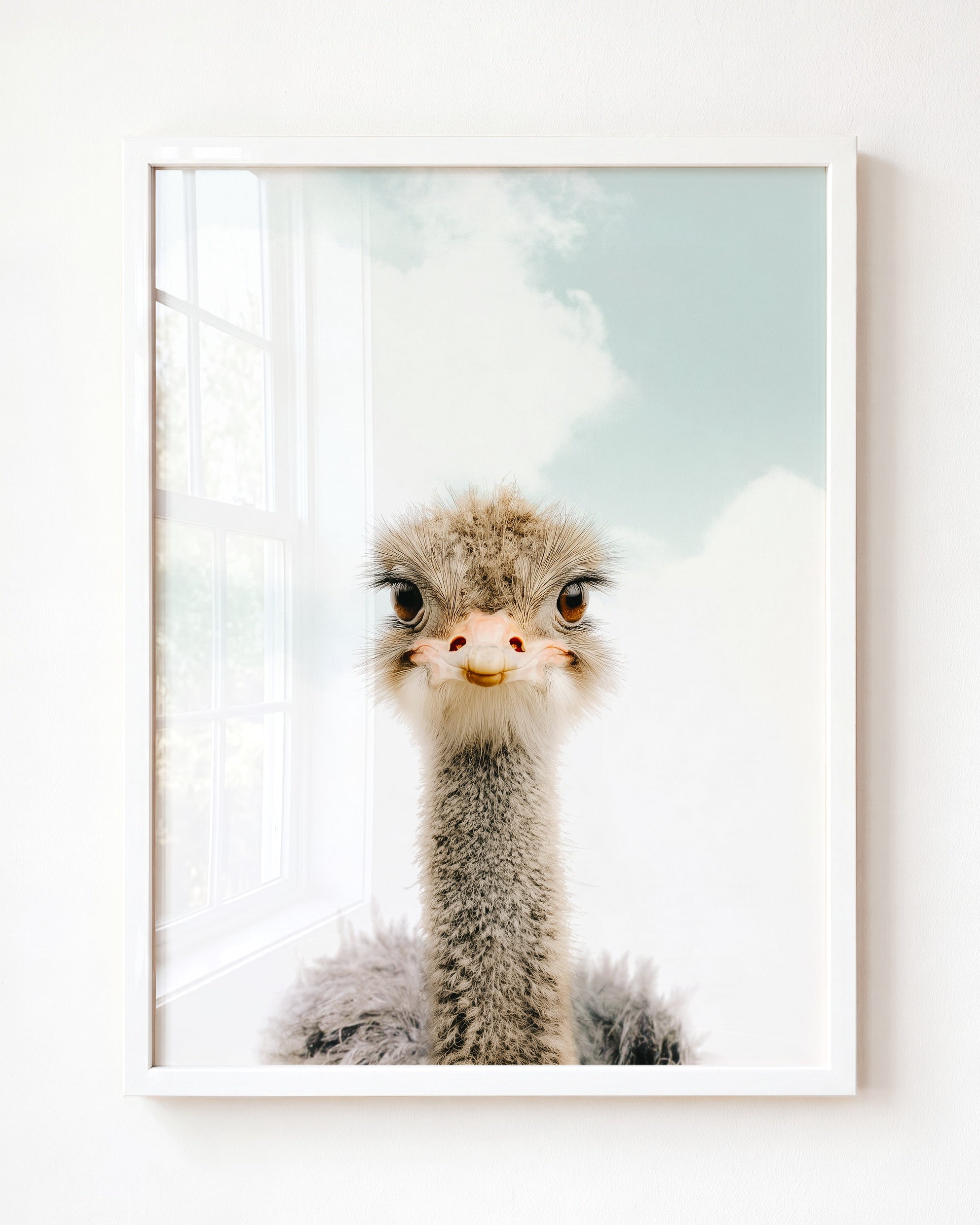 Baby Ostrich