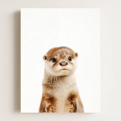 Baby Otter
