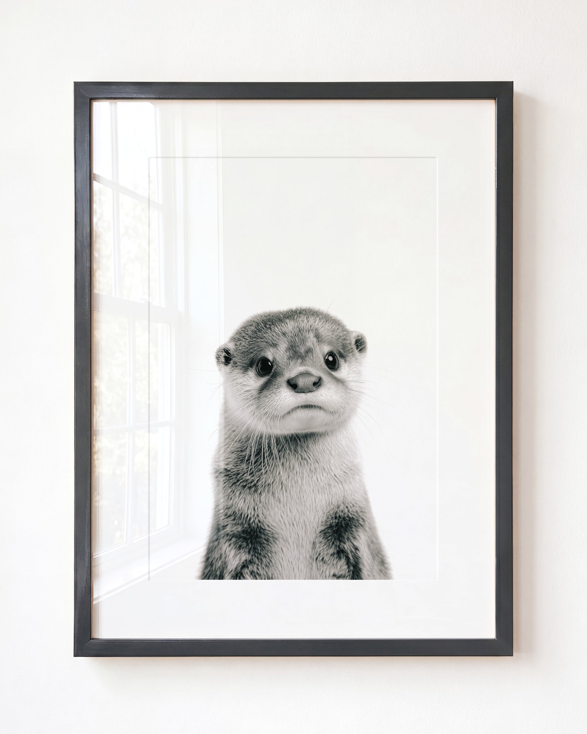 Baby Otter