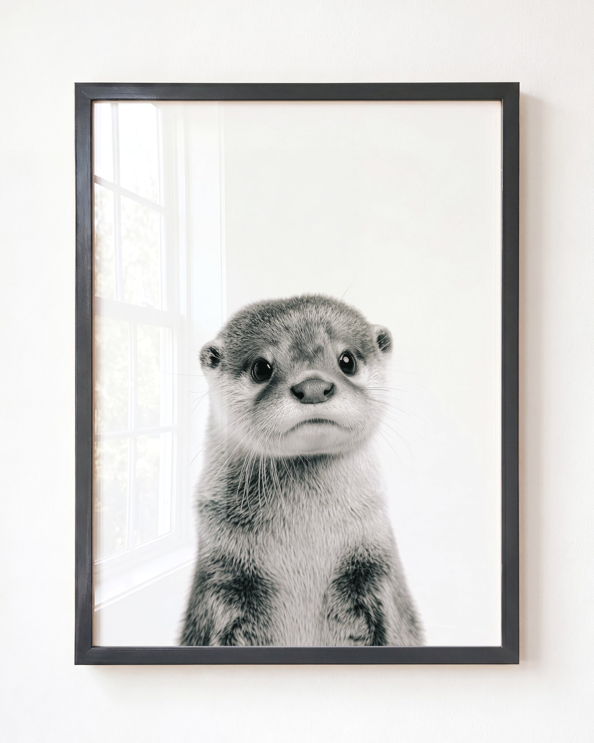 Baby Otter