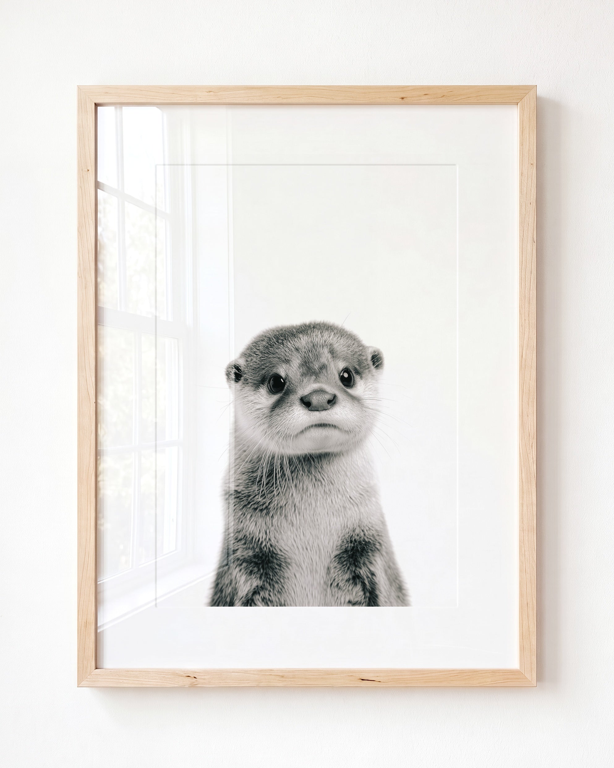Baby Otter