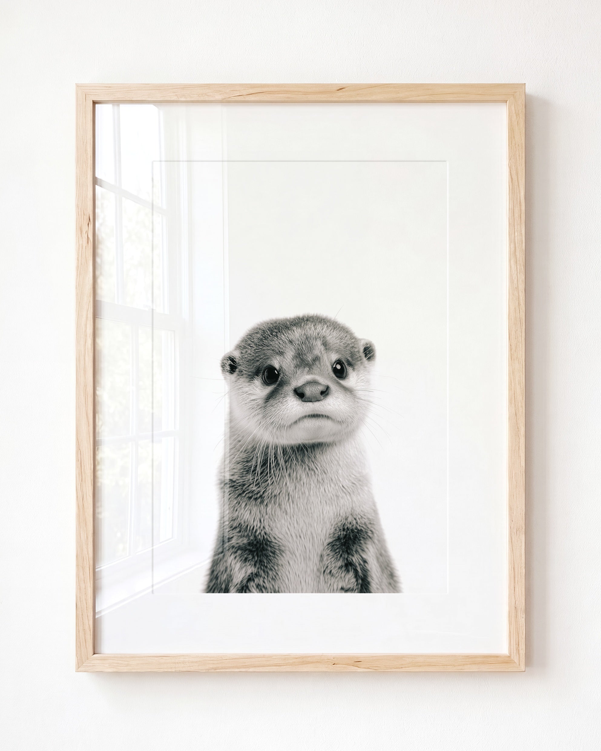 Baby Otter