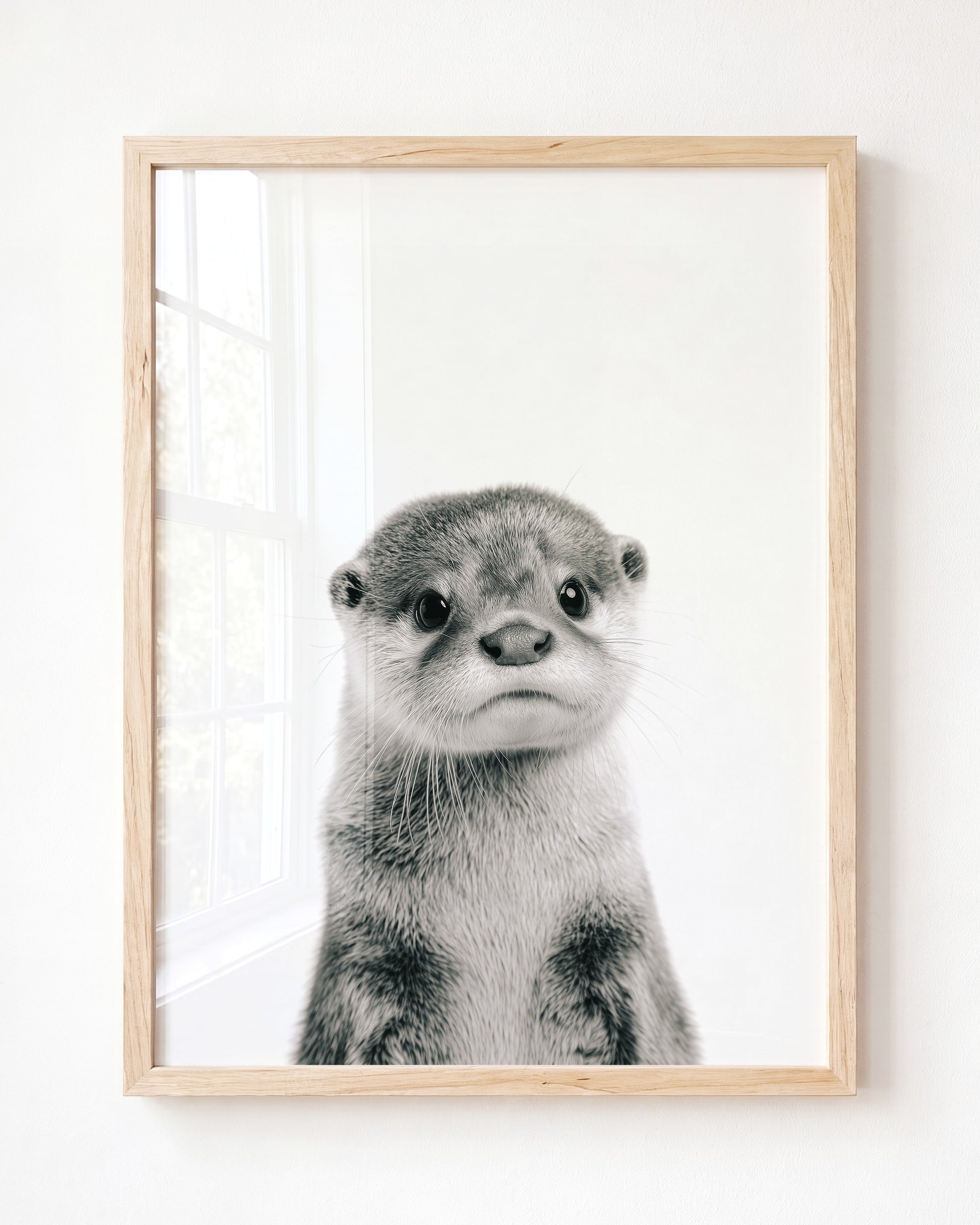 Baby Otter